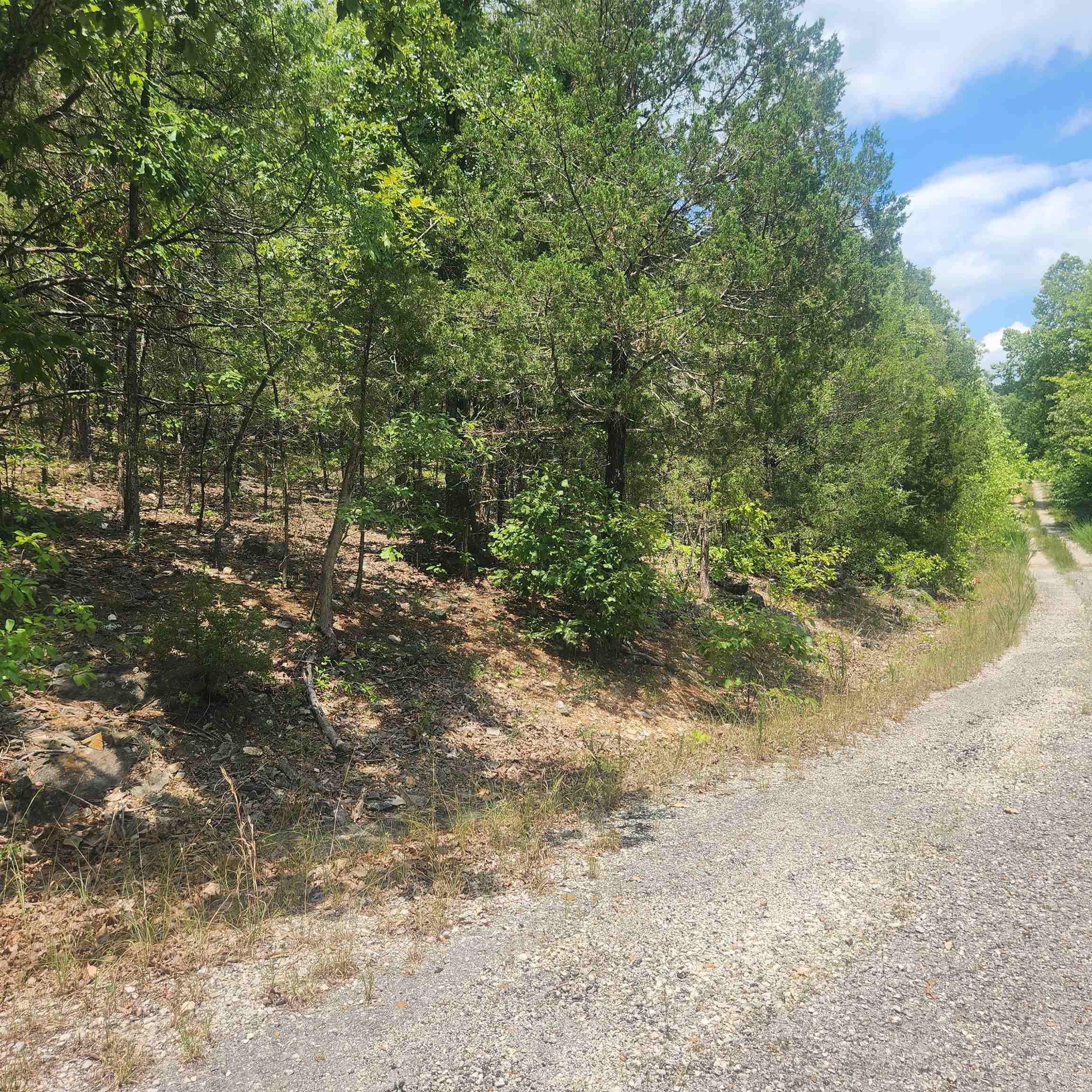 L-61, B-7  Lochloosa  Cherokee Village, AR