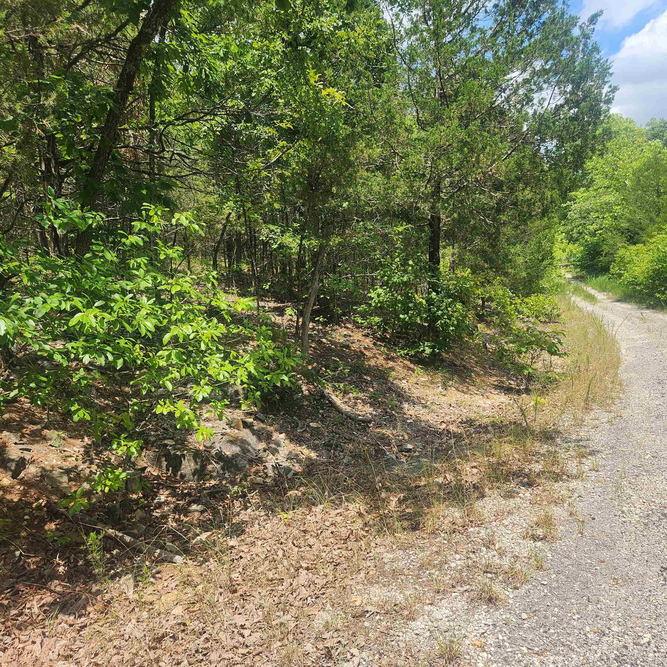 L-61, B-7  Lochloosa  Cherokee Village, AR