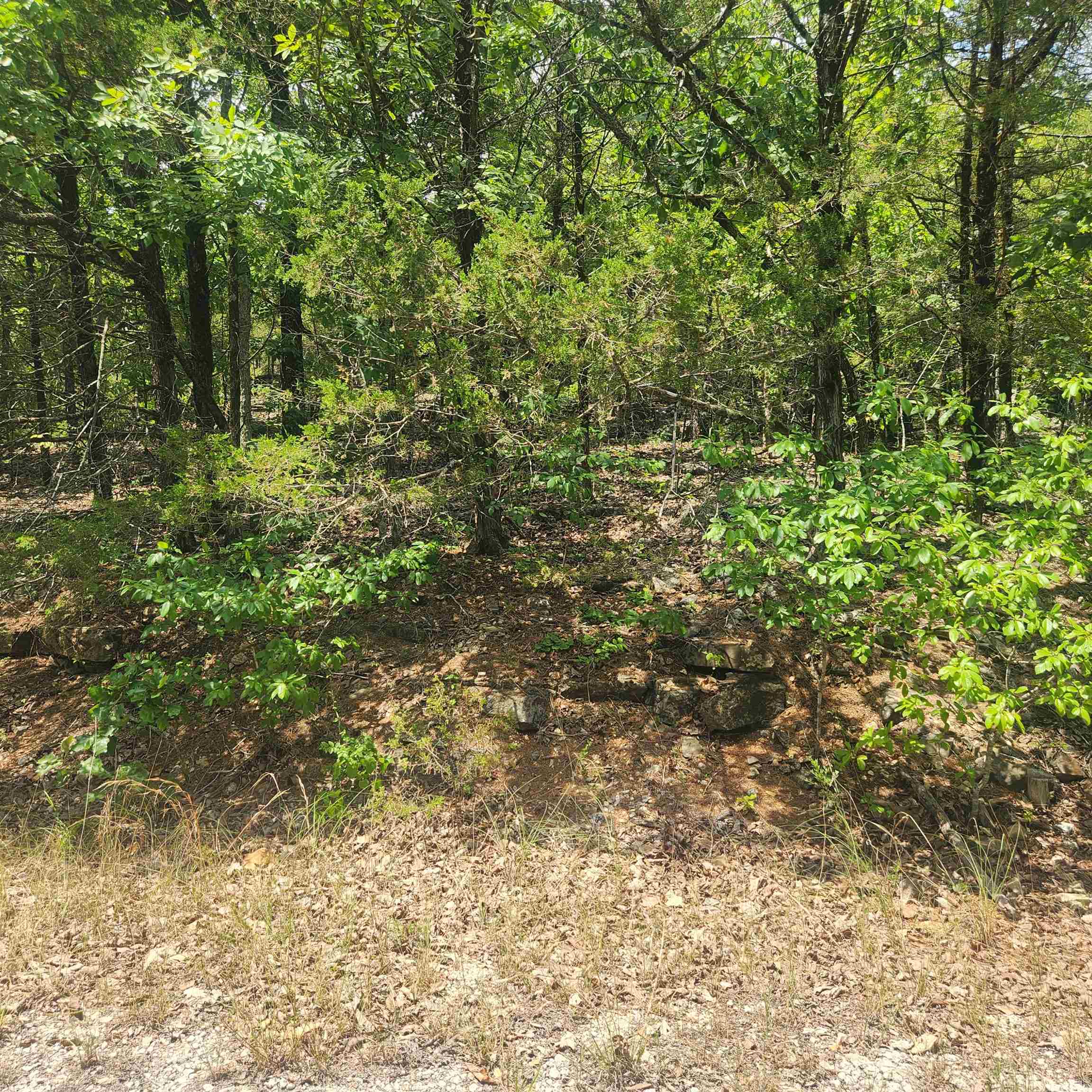 L-61, B-7  Lochloosa  Cherokee Village, AR