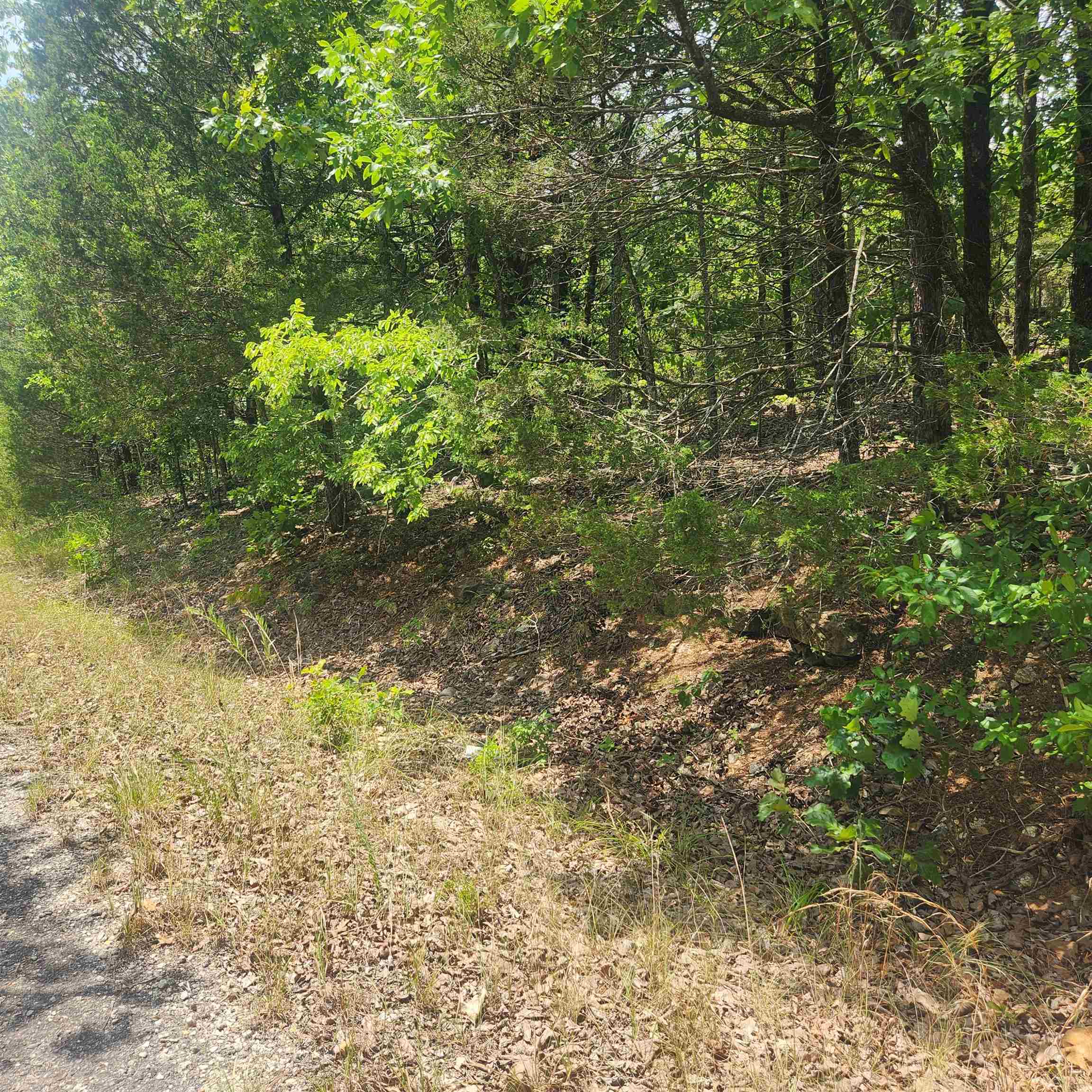 L-61, B-7  Lochloosa  Cherokee Village, AR