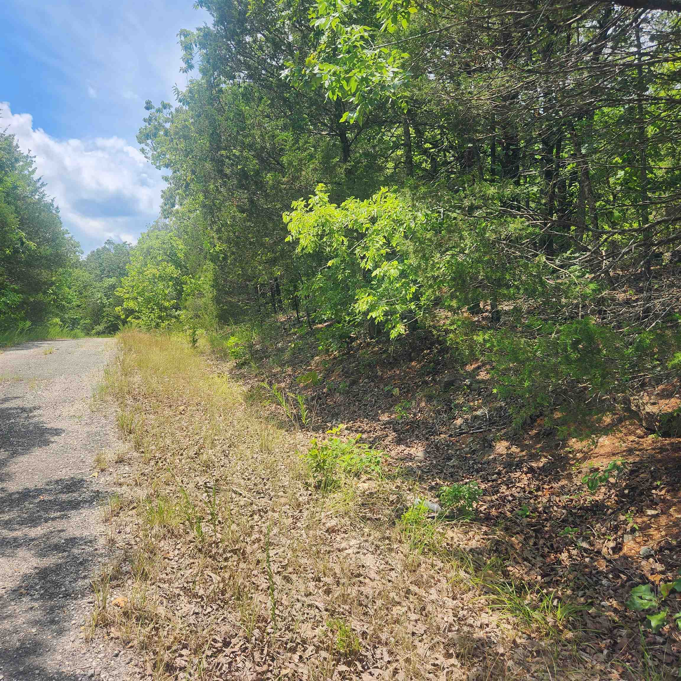 L-61, B-7  Lochloosa  Cherokee Village, AR
