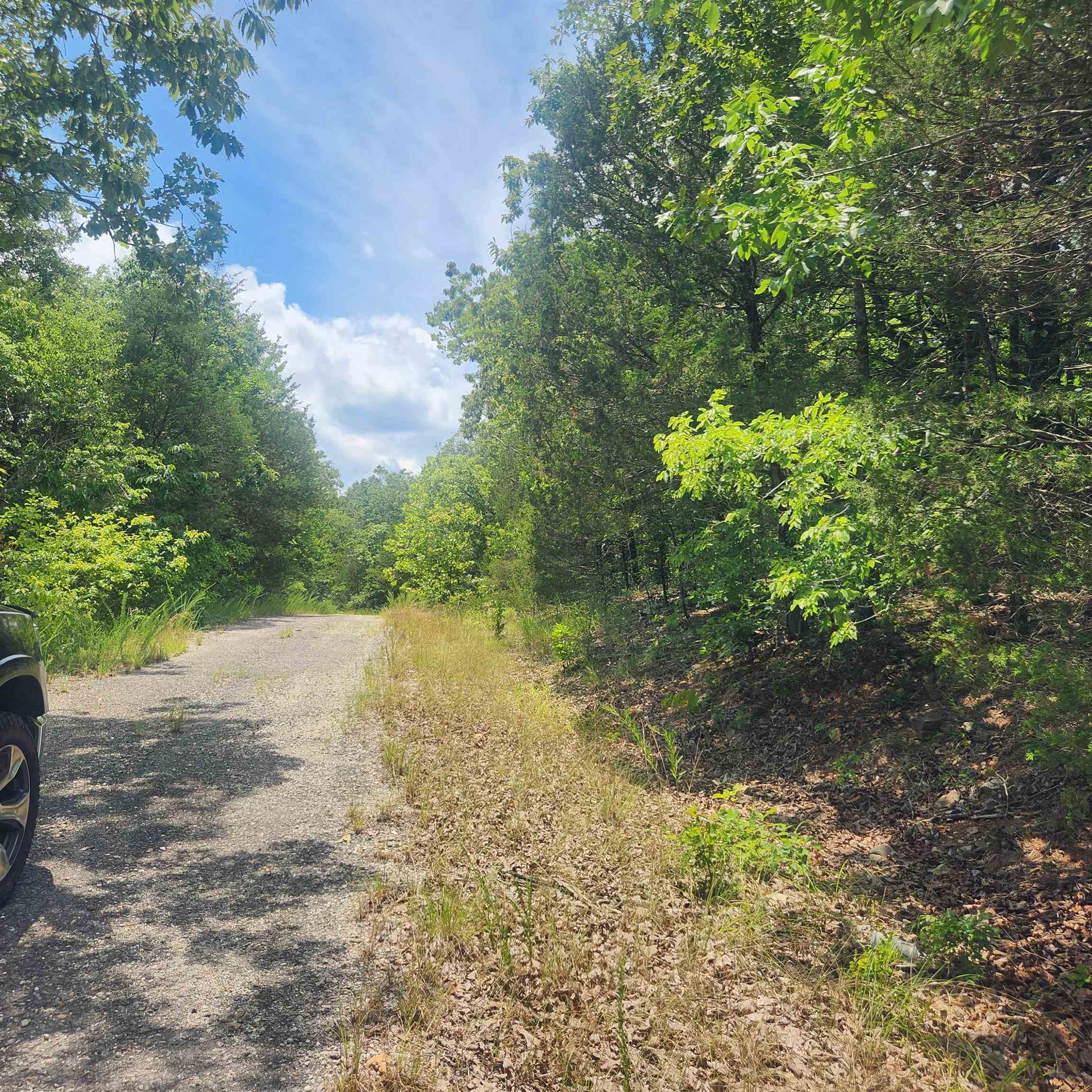 L-61, B-7  Lochloosa  Cherokee Village, AR