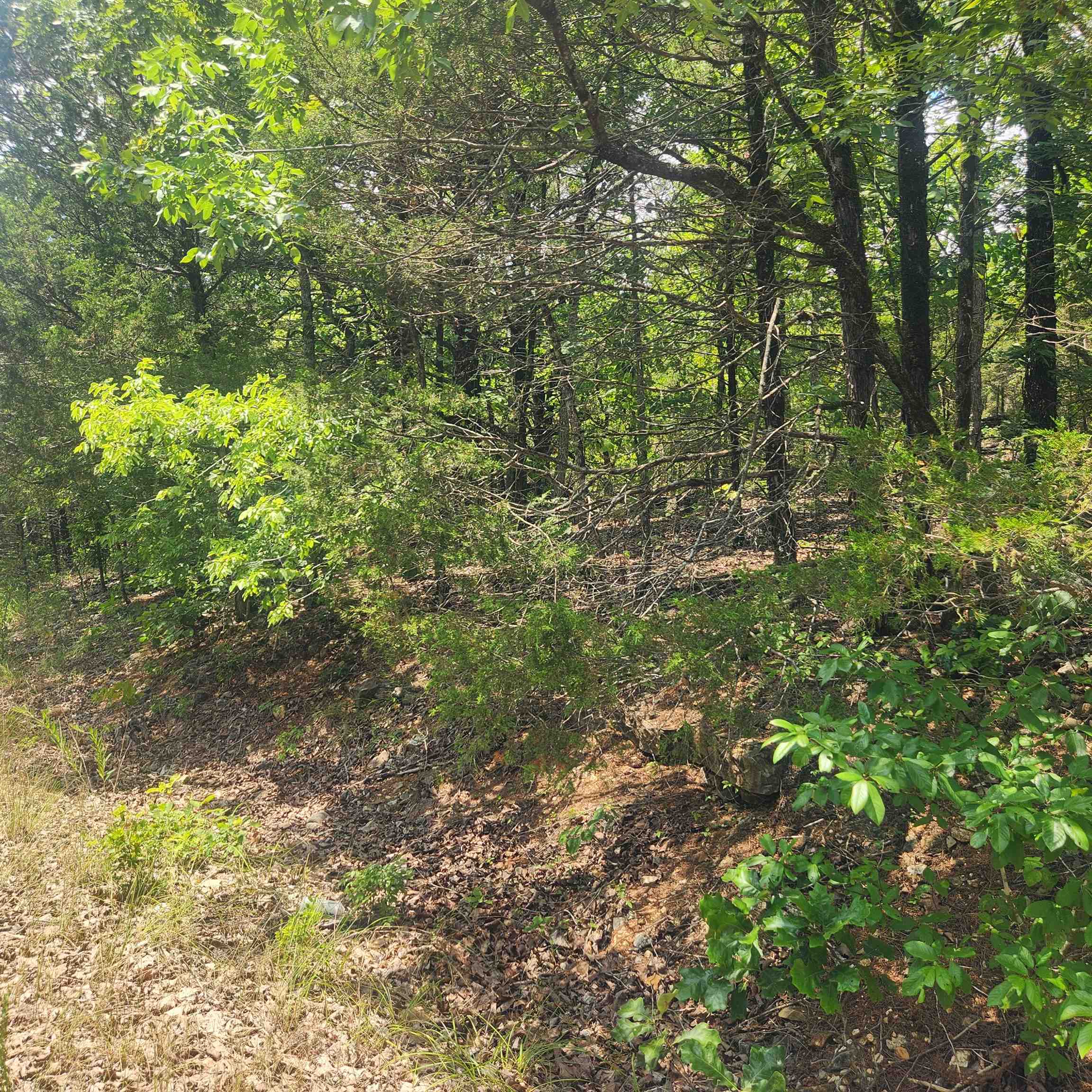 L-61, B-7  Lochloosa  Cherokee Village, AR