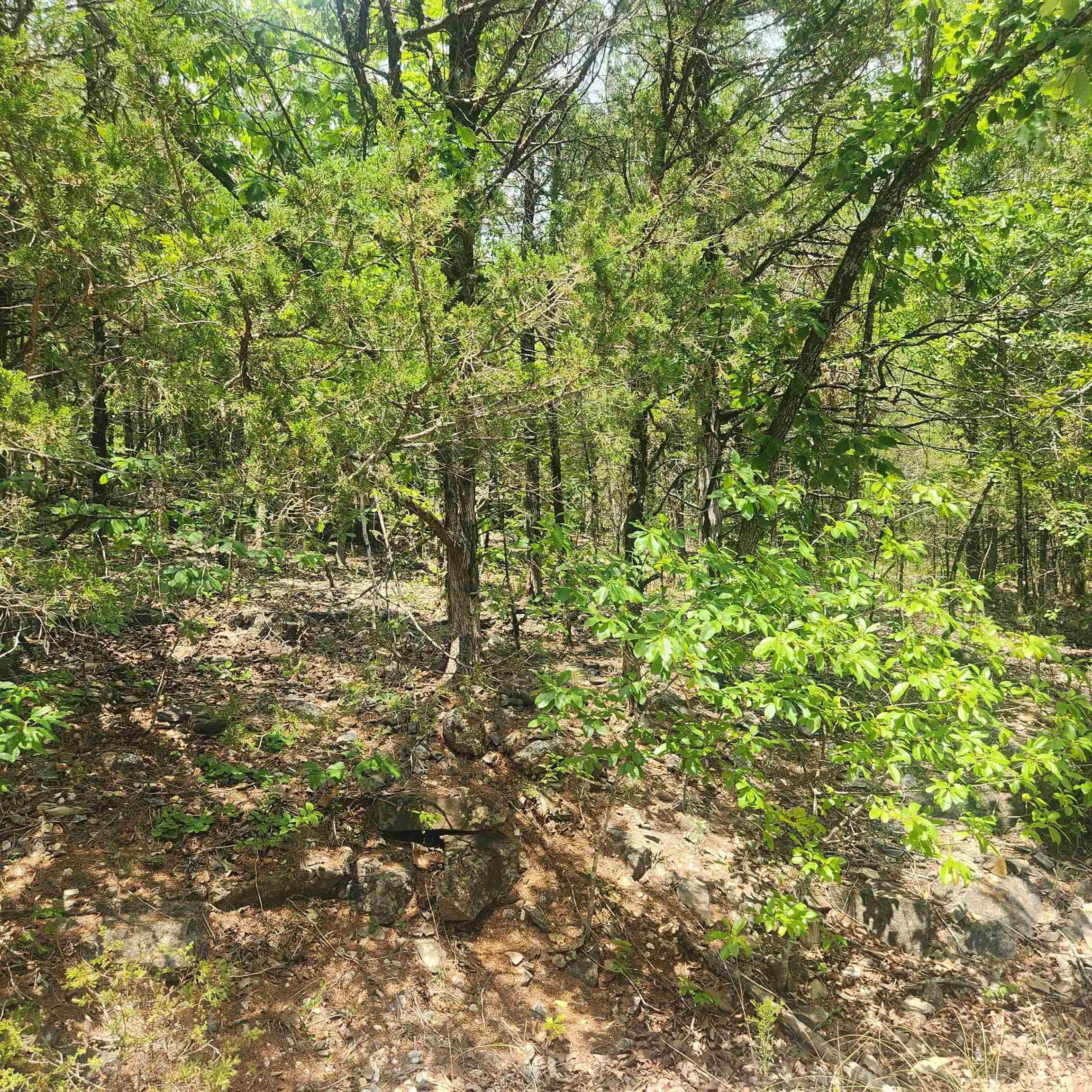 L-61, B-7  Lochloosa  Cherokee Village, AR