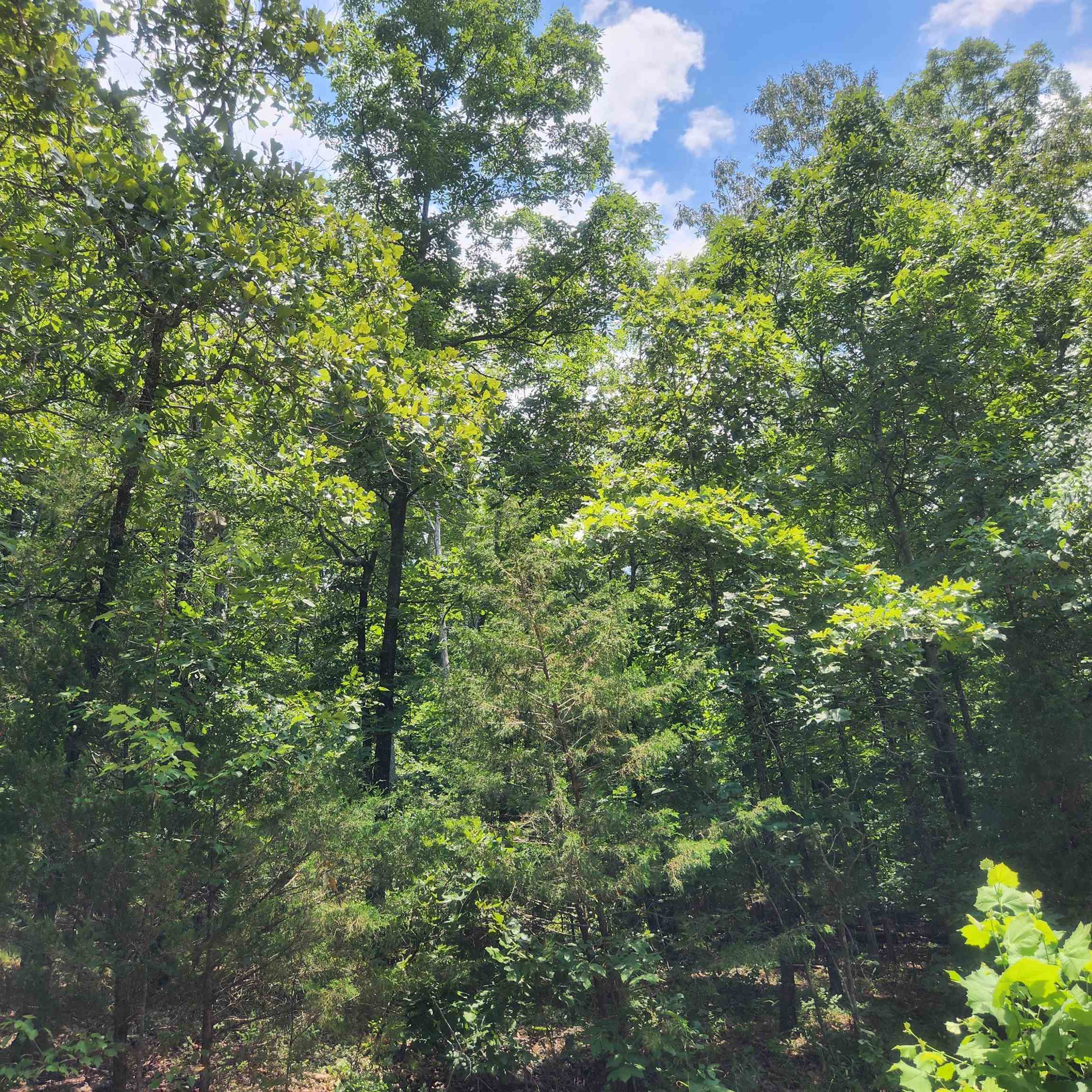 L-15, B-13A  Cochise  Cherokee Village, AR