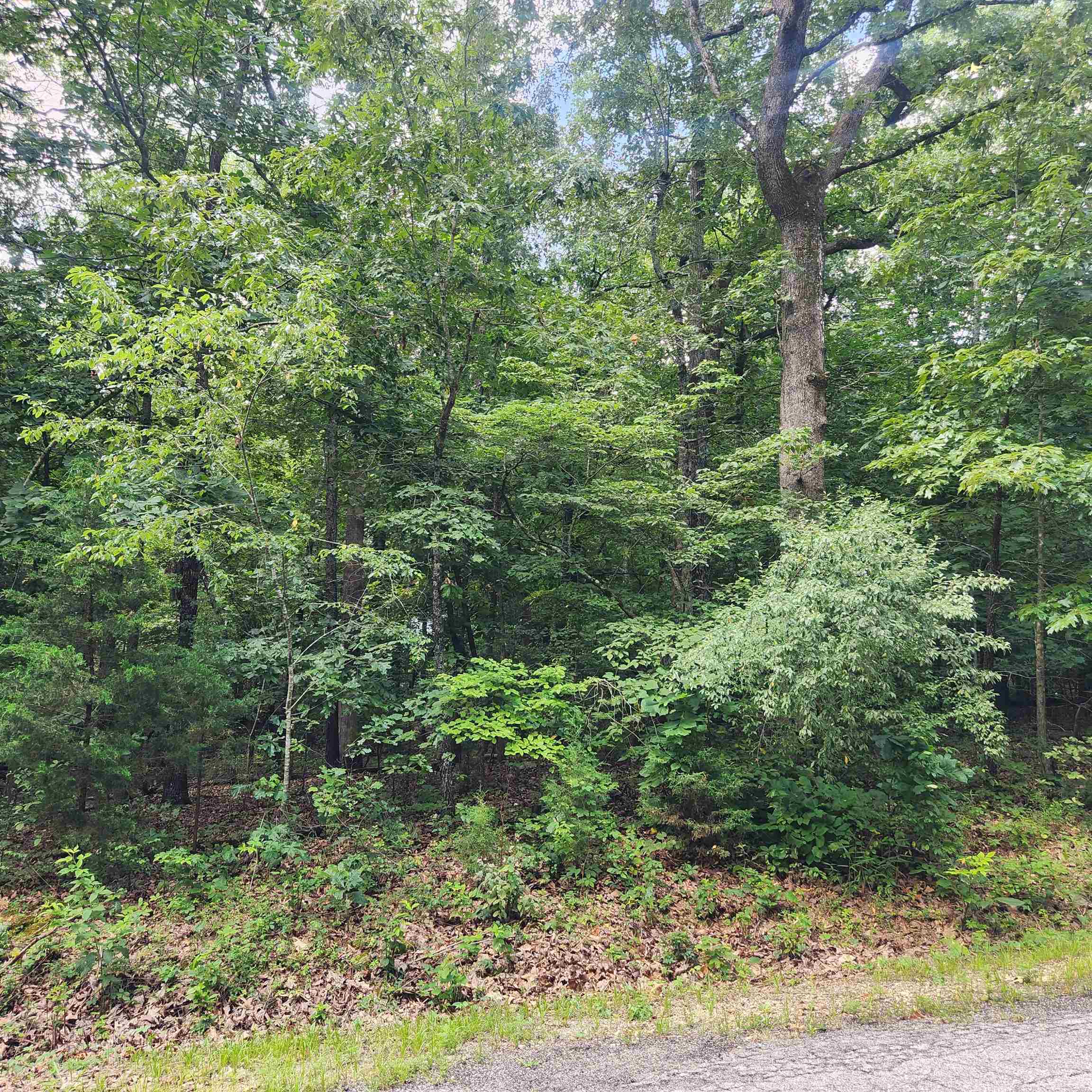 L-42, B-1  Saskatchewan  Cherokee Village, AR