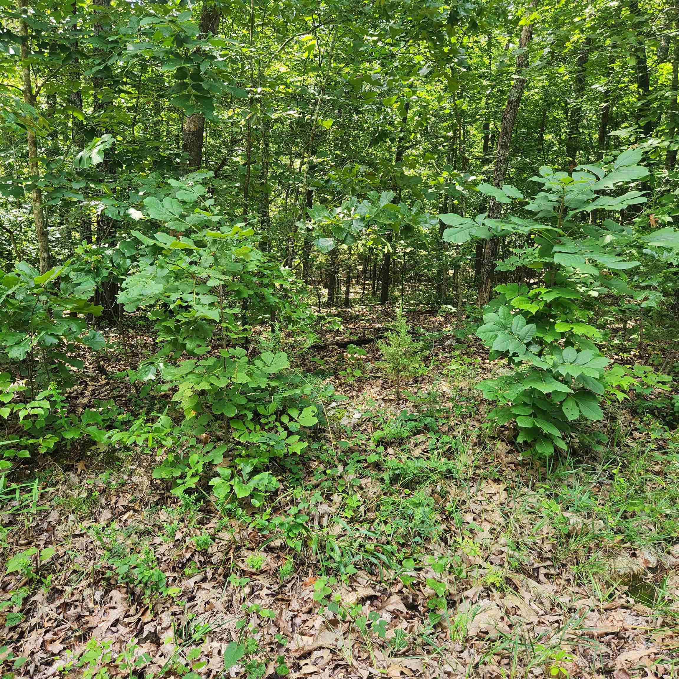 L-42, B-1  Saskatchewan  Cherokee Village, AR