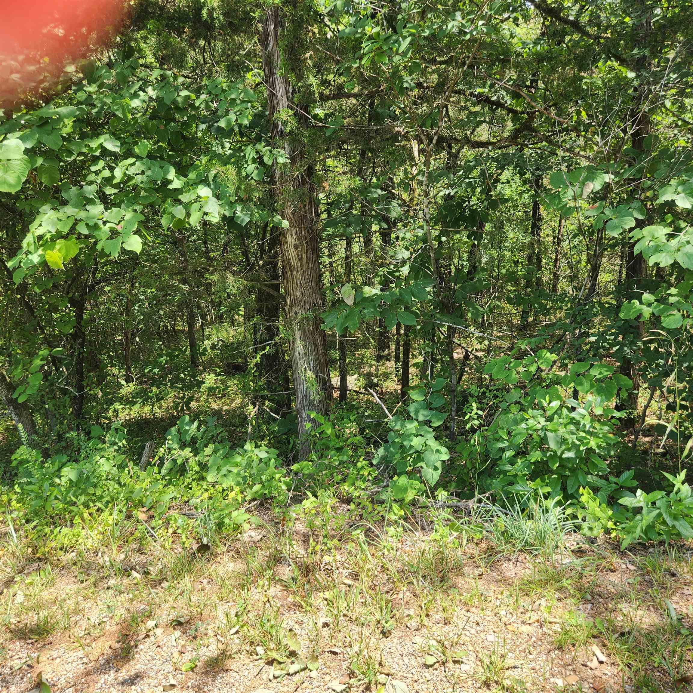 L-25, B-13A  Altakima  Cherokee Village, AR