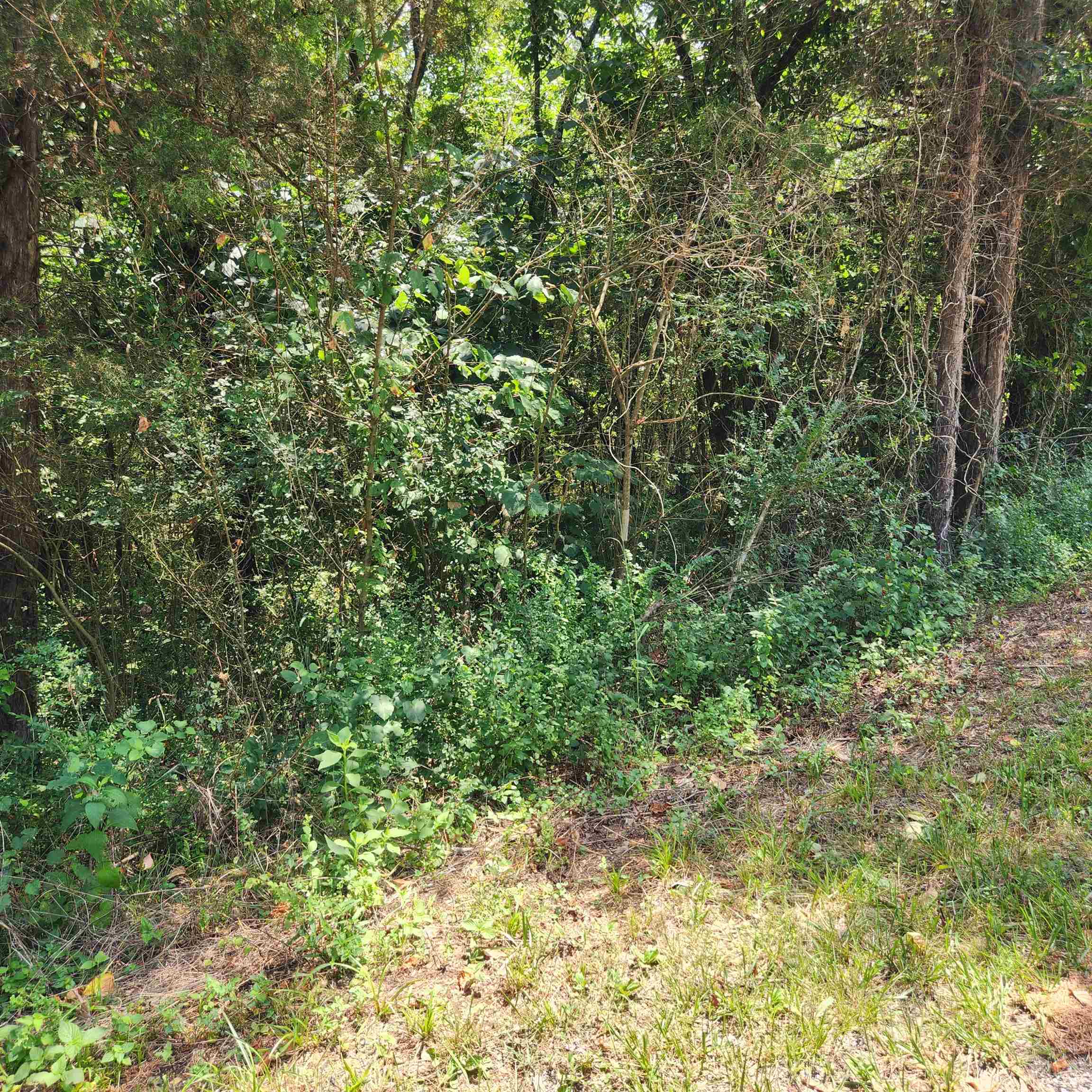 L-25, B-13A  Altakima  Cherokee Village, AR