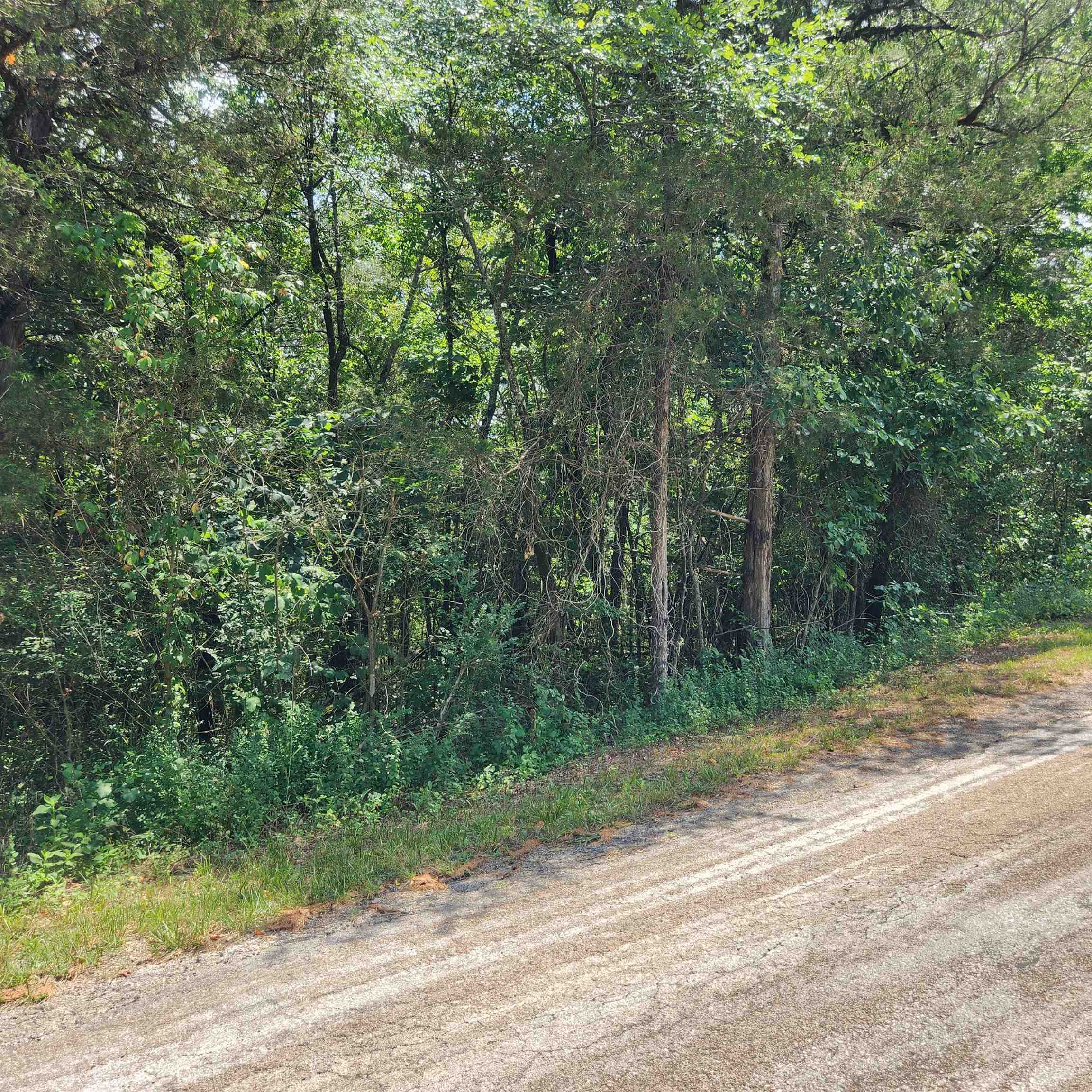 L-25, B-13A  Altakima  Cherokee Village, AR