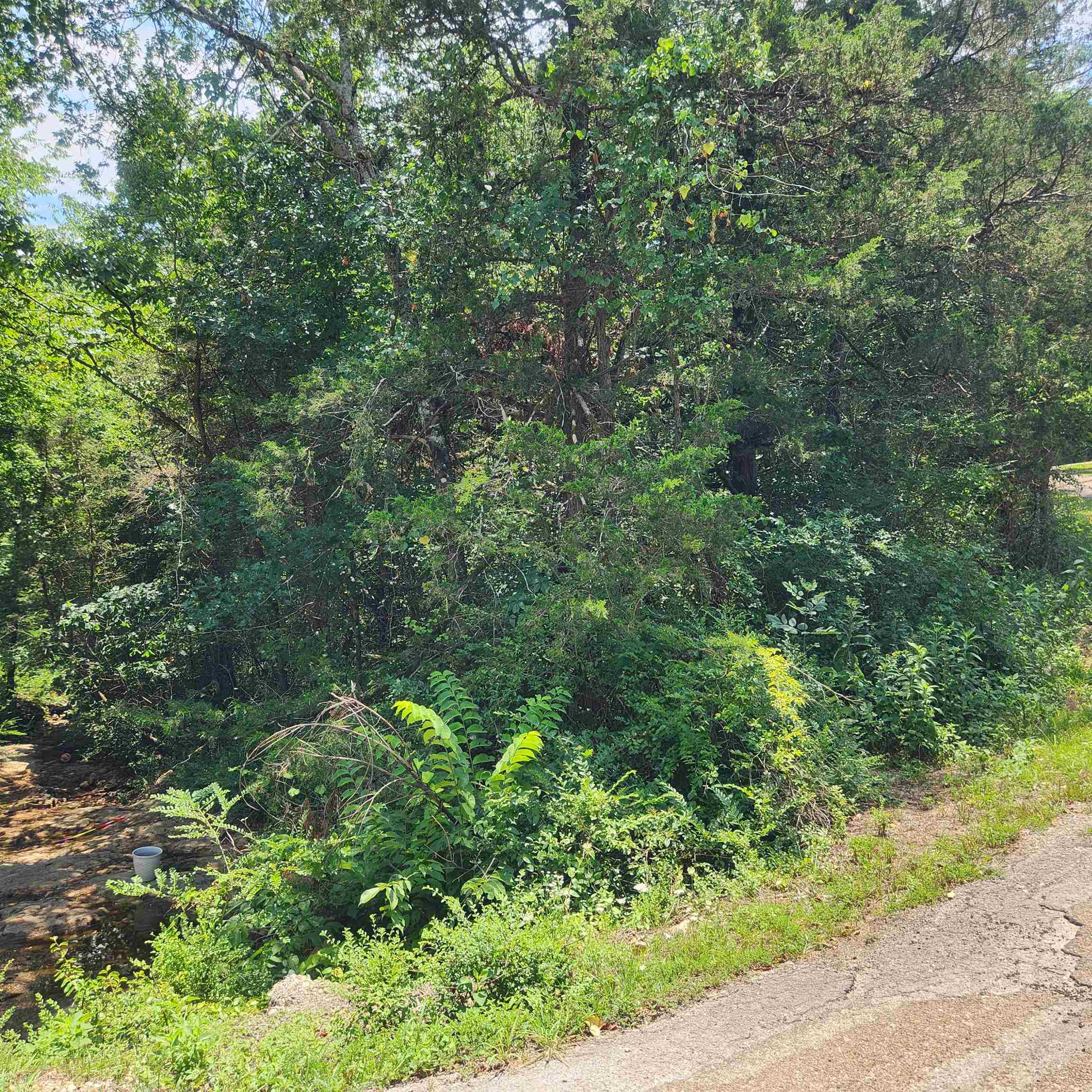 L-25, B-13A  Altakima  Cherokee Village, AR