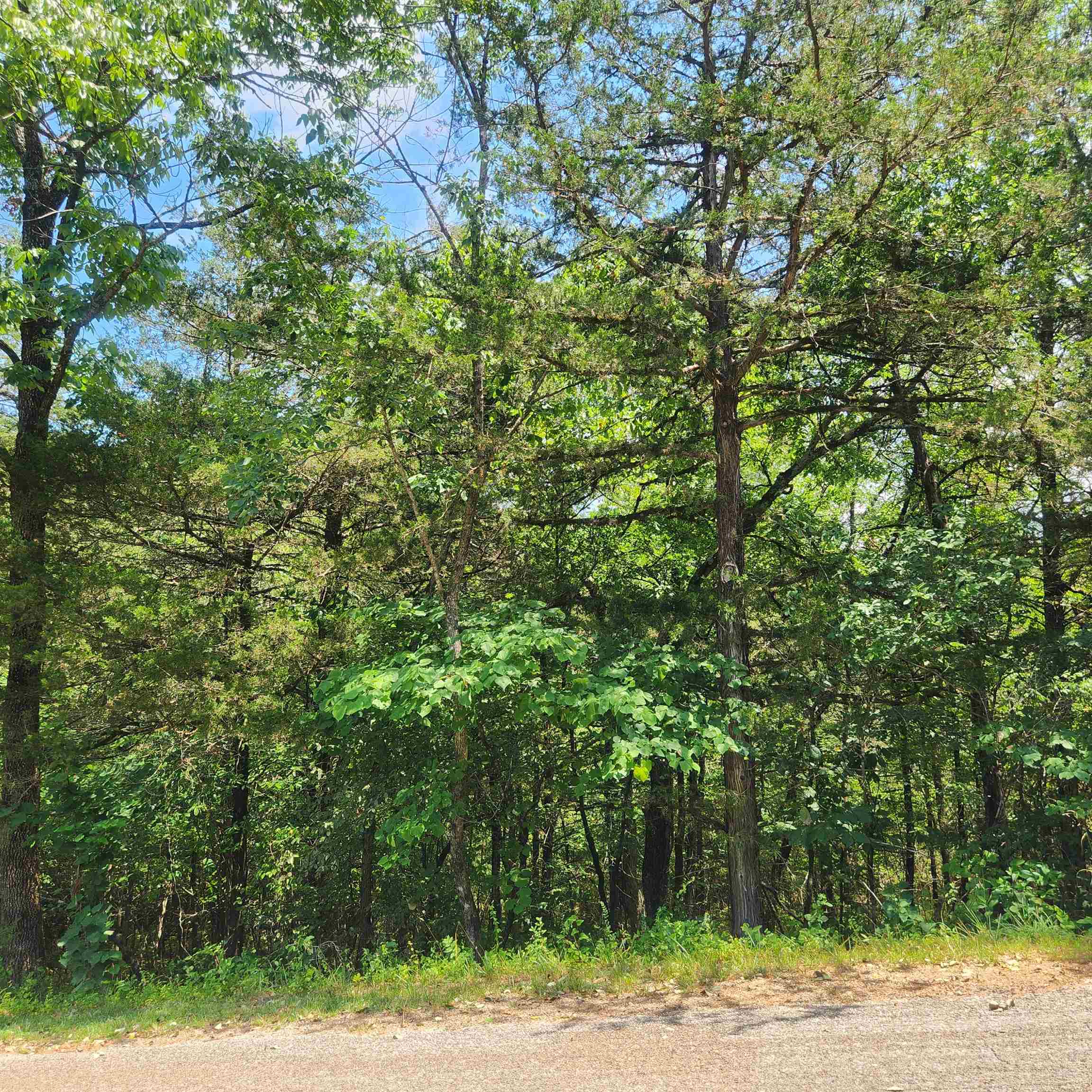L-25, B-13A  Altakima  Cherokee Village, AR