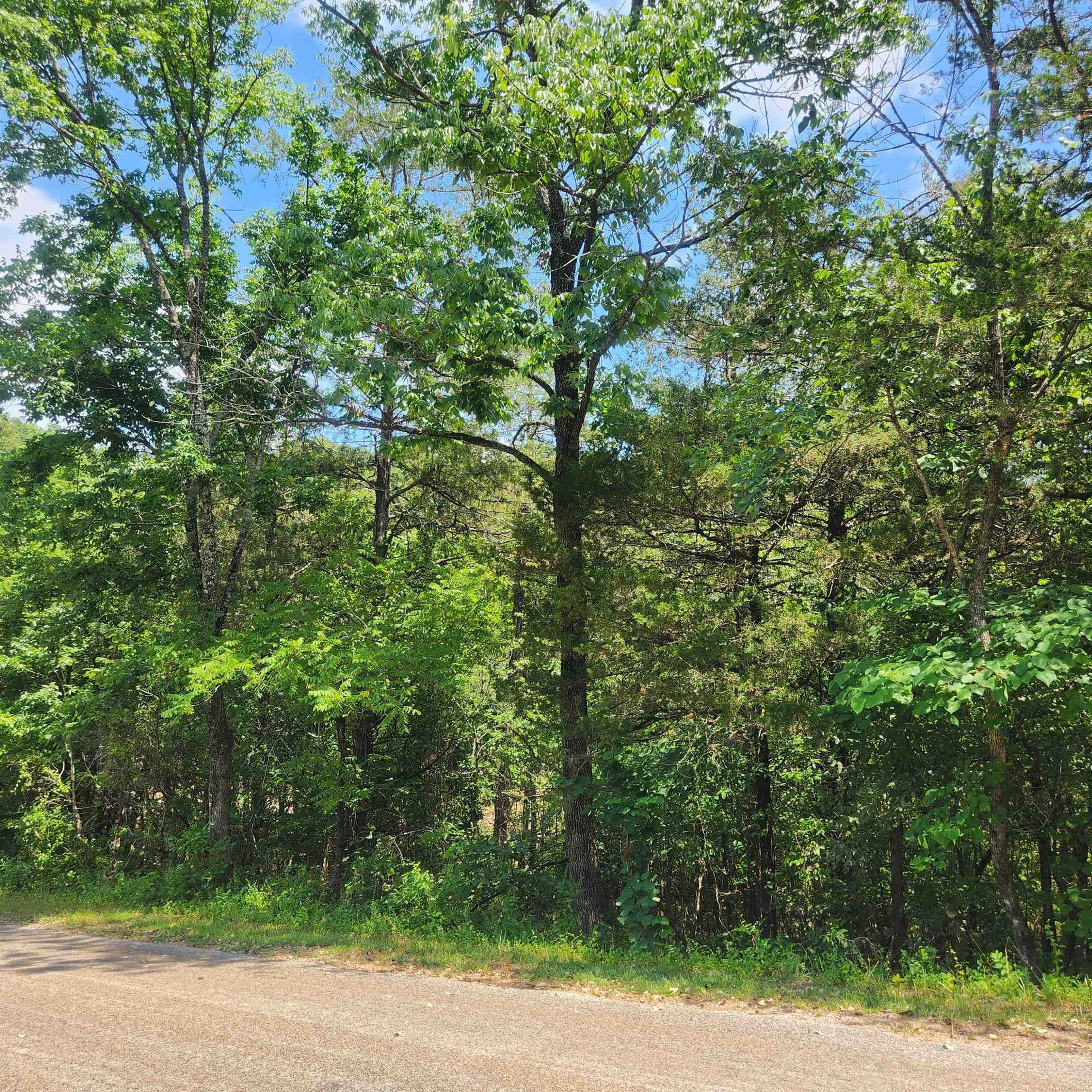 L-25, B-13A  Altakima  Cherokee Village, AR