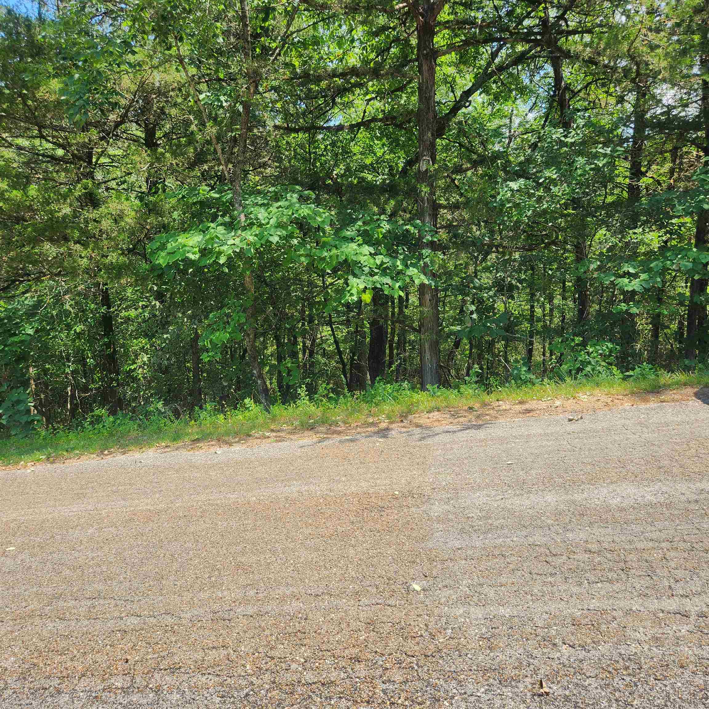 L-25, B-13A  Altakima  Cherokee Village, AR