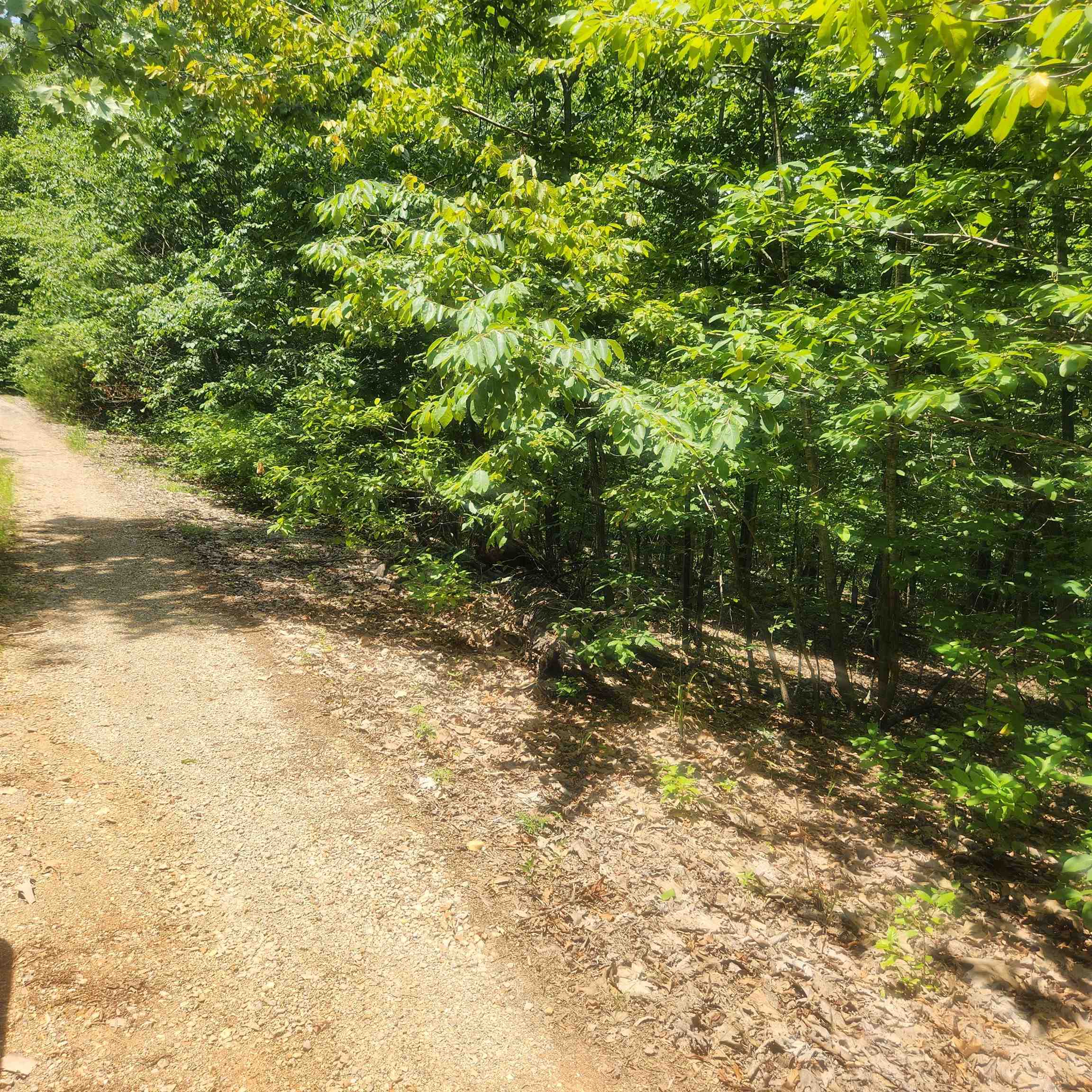 L-27, B-15  Goti  Cherokee Village, AR