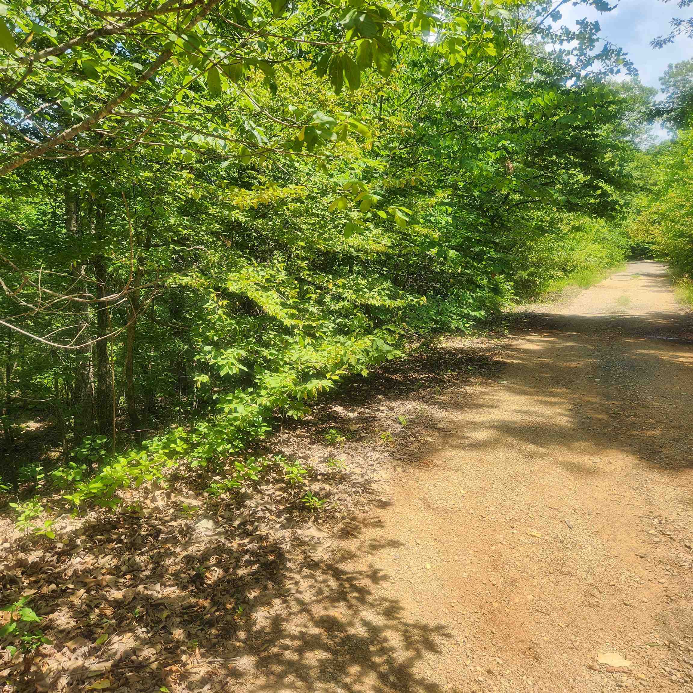 L-27, B-15  Goti  Cherokee Village, AR