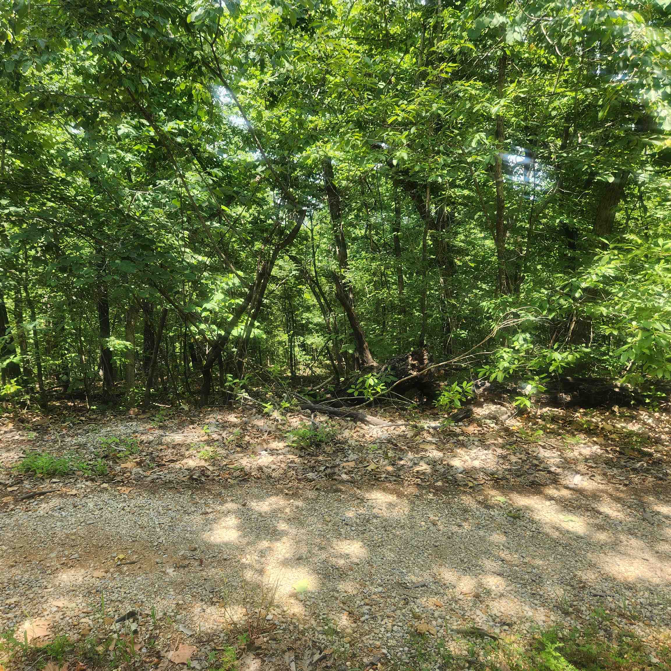L-27, B-15  Goti  Cherokee Village, AR