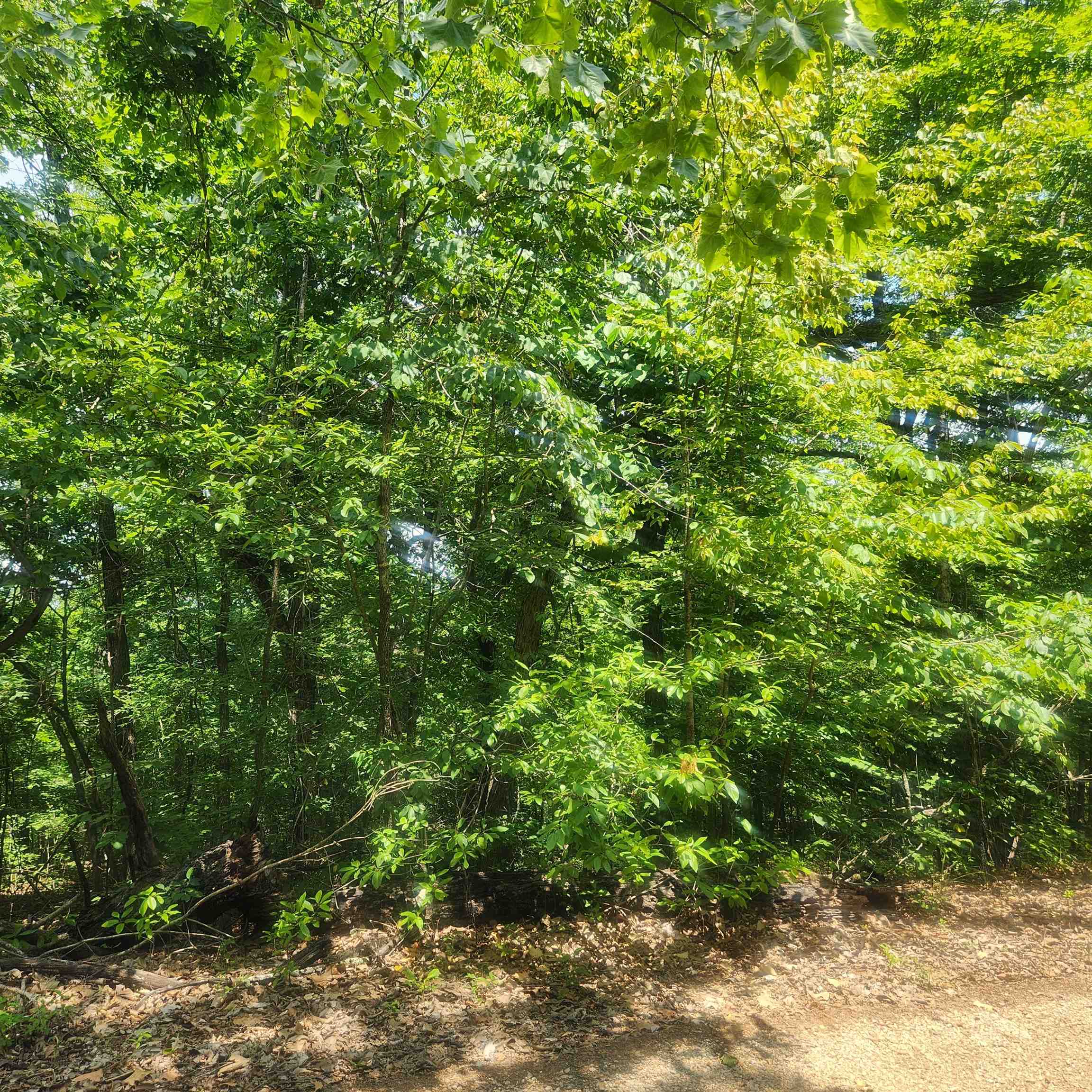 L-27, B-15  Goti  Cherokee Village, AR