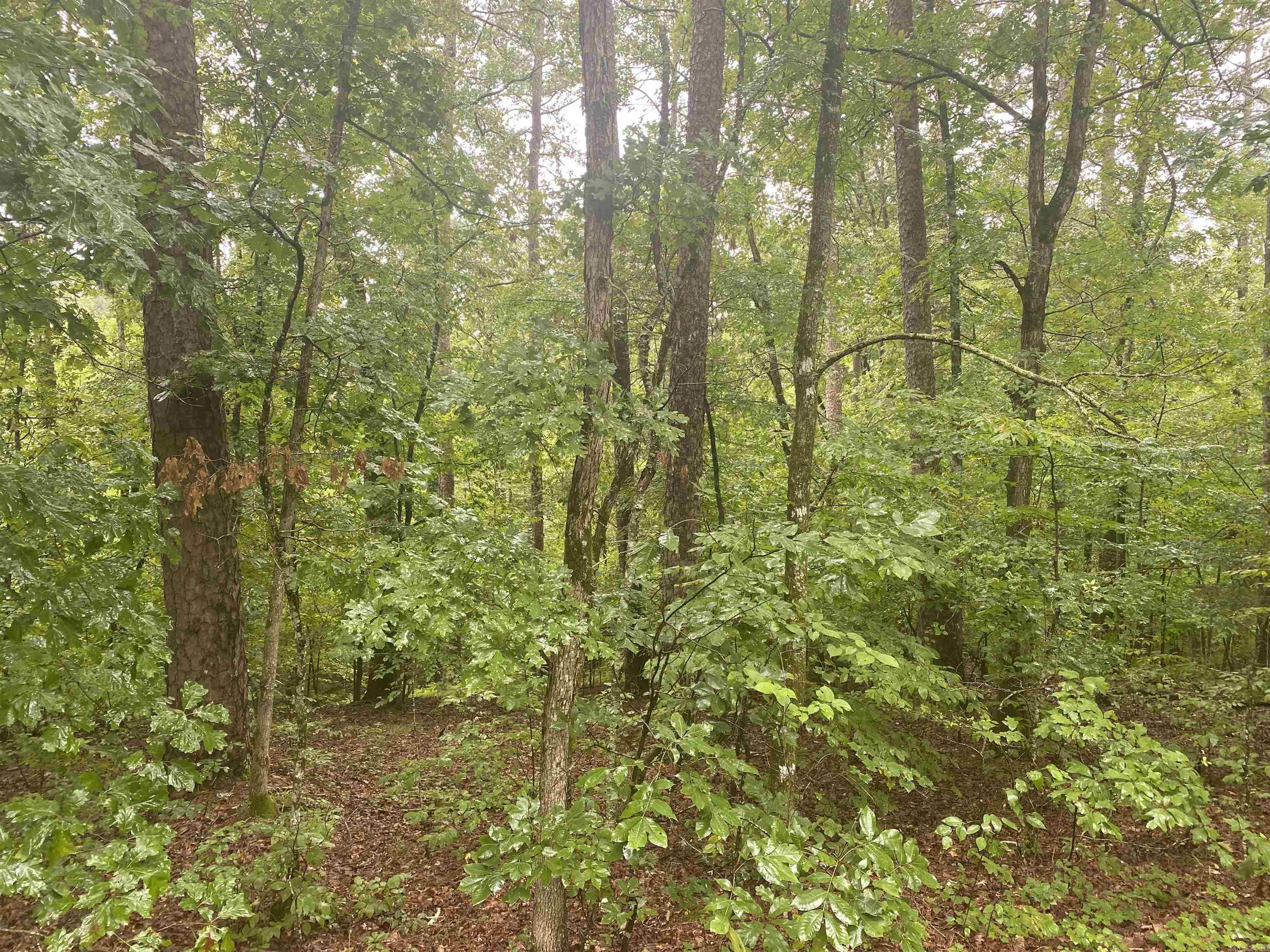Lot 31  Marcos  Hot Springs Village, AR