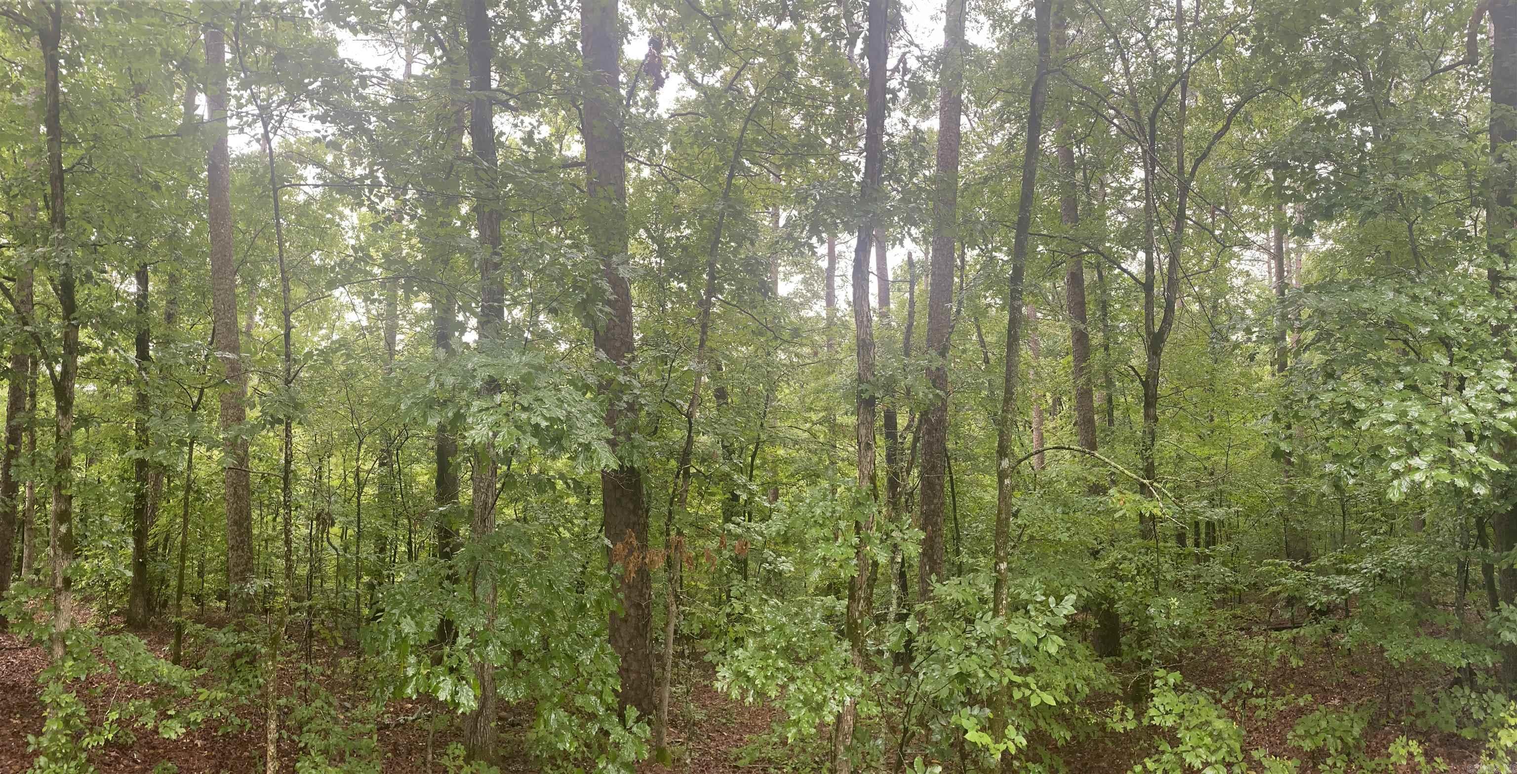 Lot 31  Marcos  Hot Springs Village, AR
