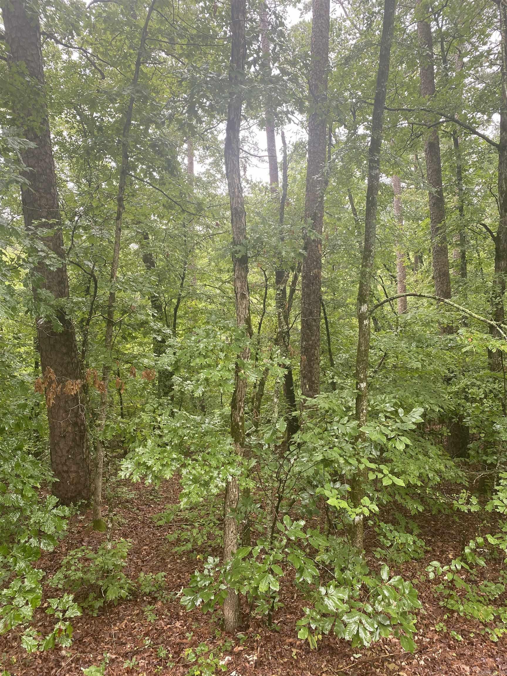 Lot 31  Marcos  Hot Springs Village, AR