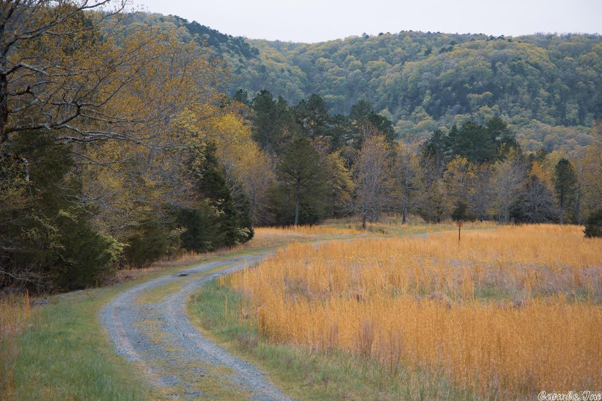 Lot 21  Primrose Creek  Heber Springs, AR