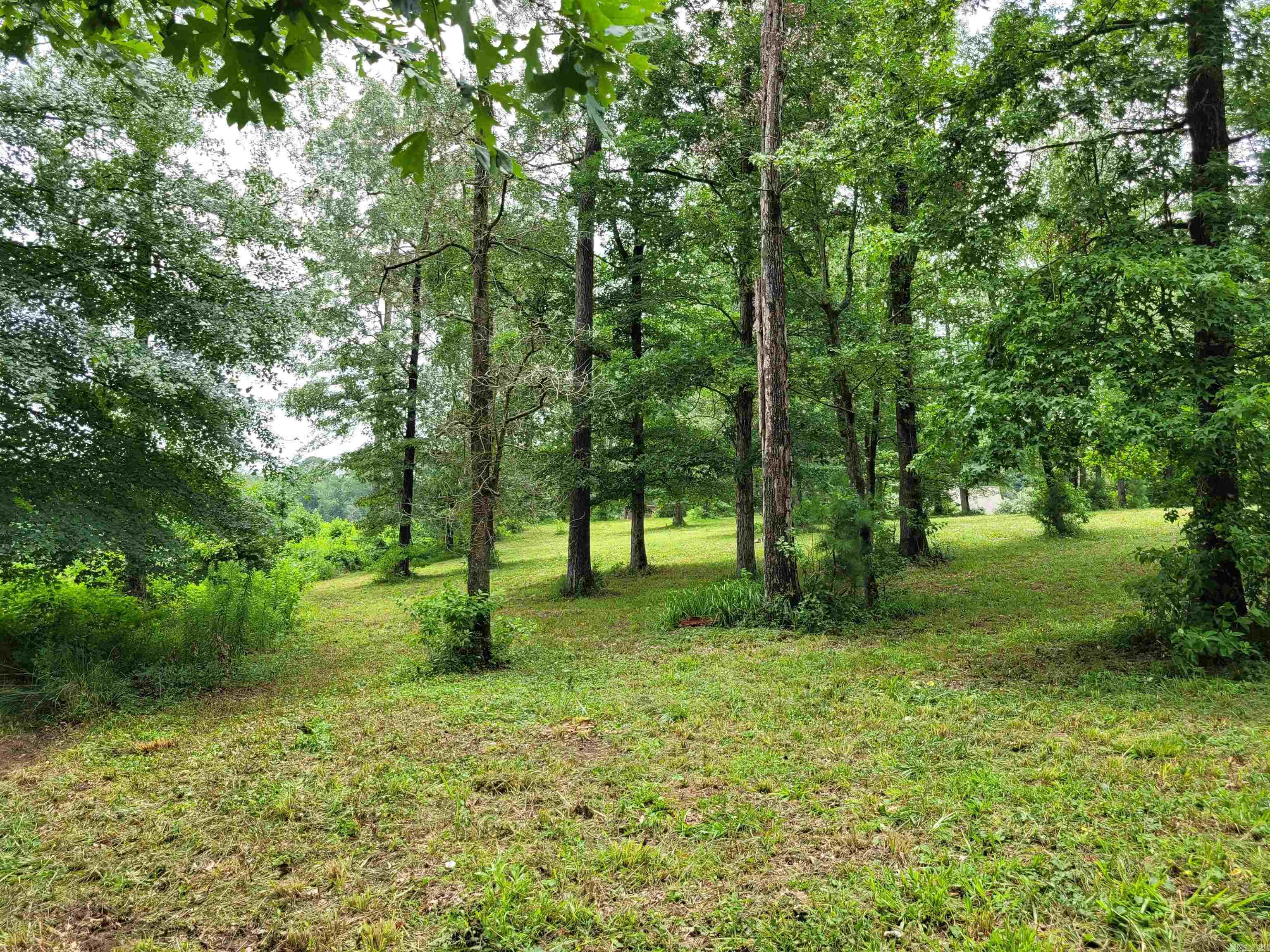 141  Valley View  Nashville, AR