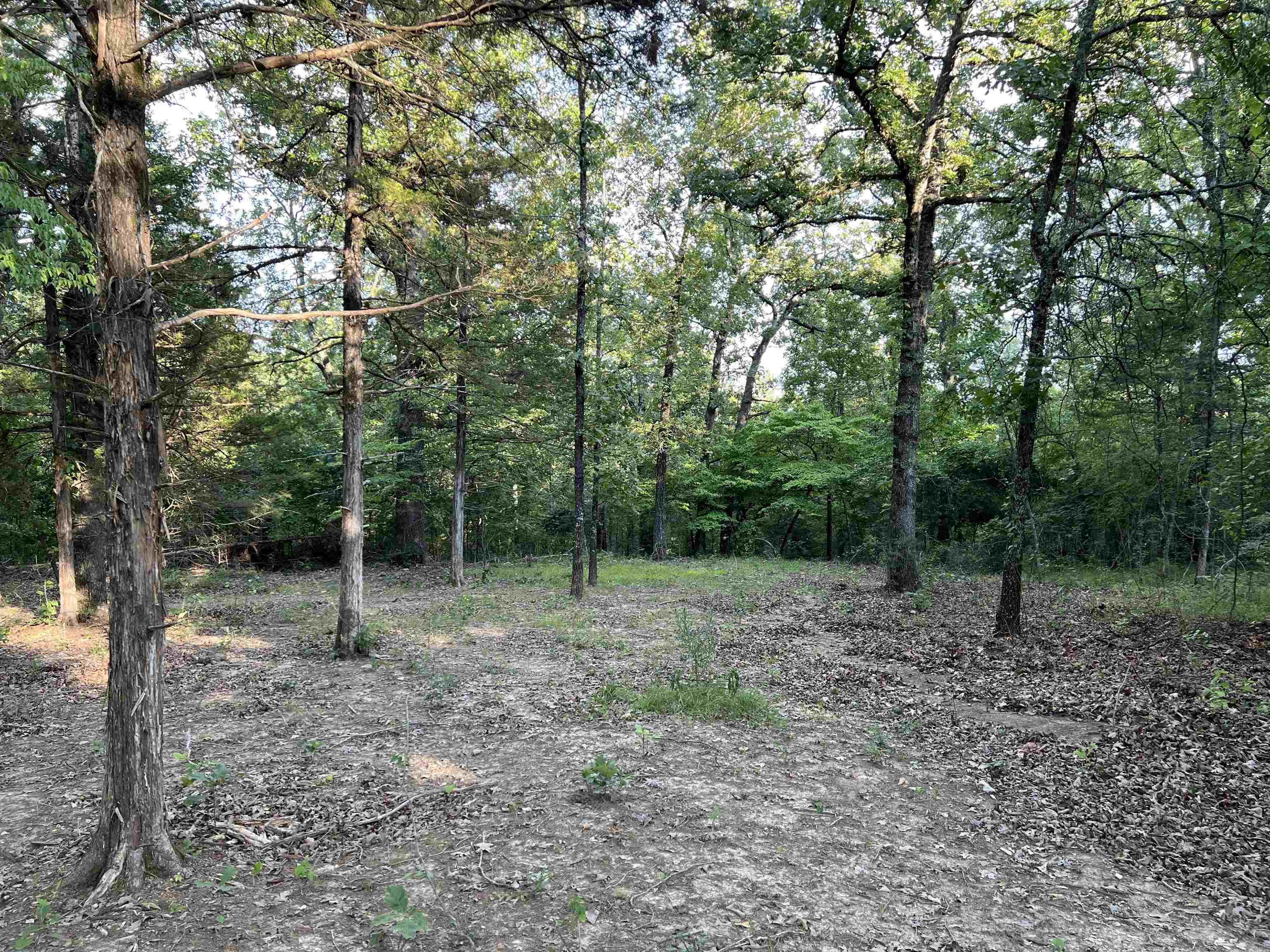 Meadow Creek Drive, Harrison, AR 72601