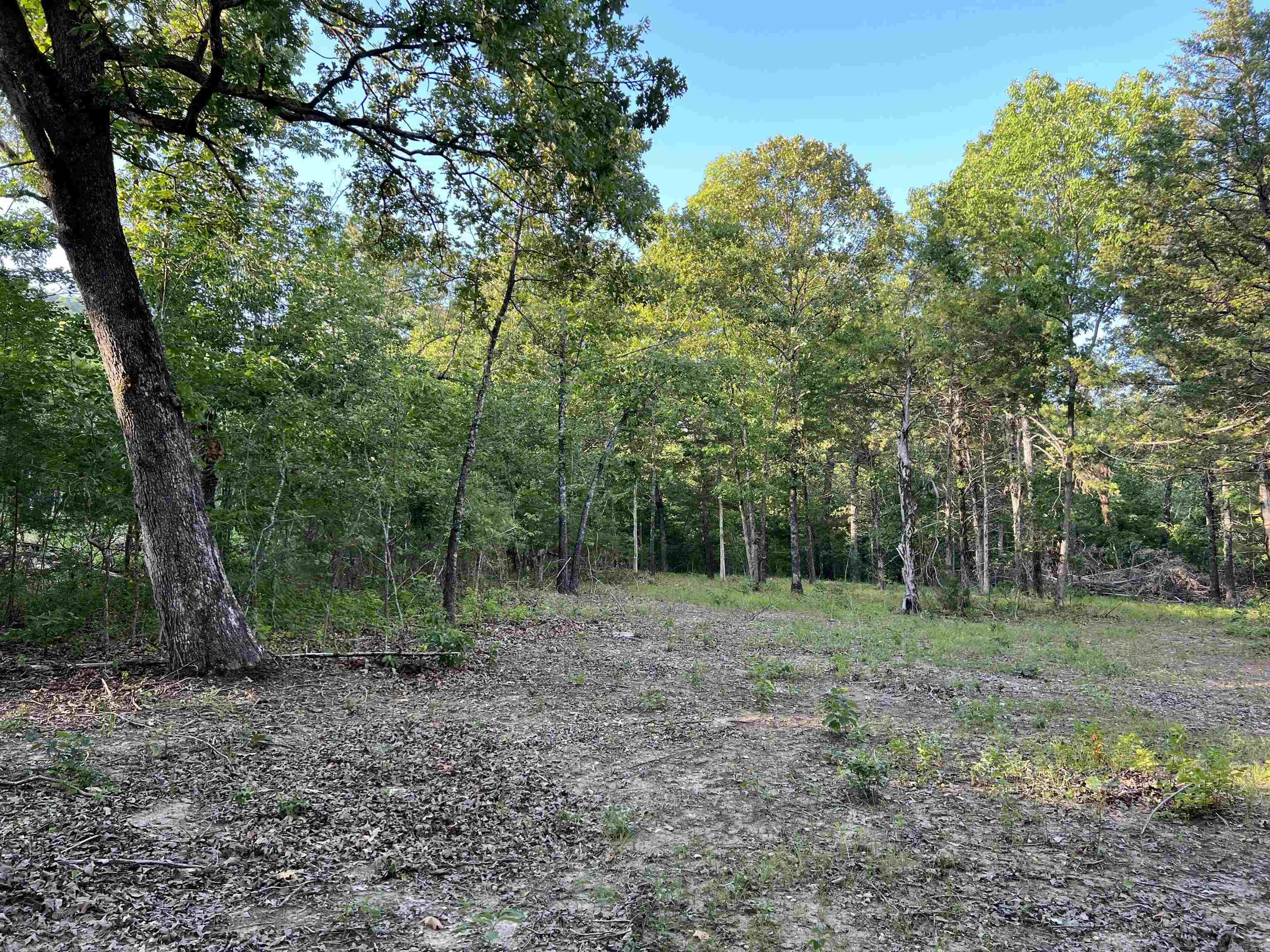 Tract VVV on  Meadow Creek  Harrison, AR