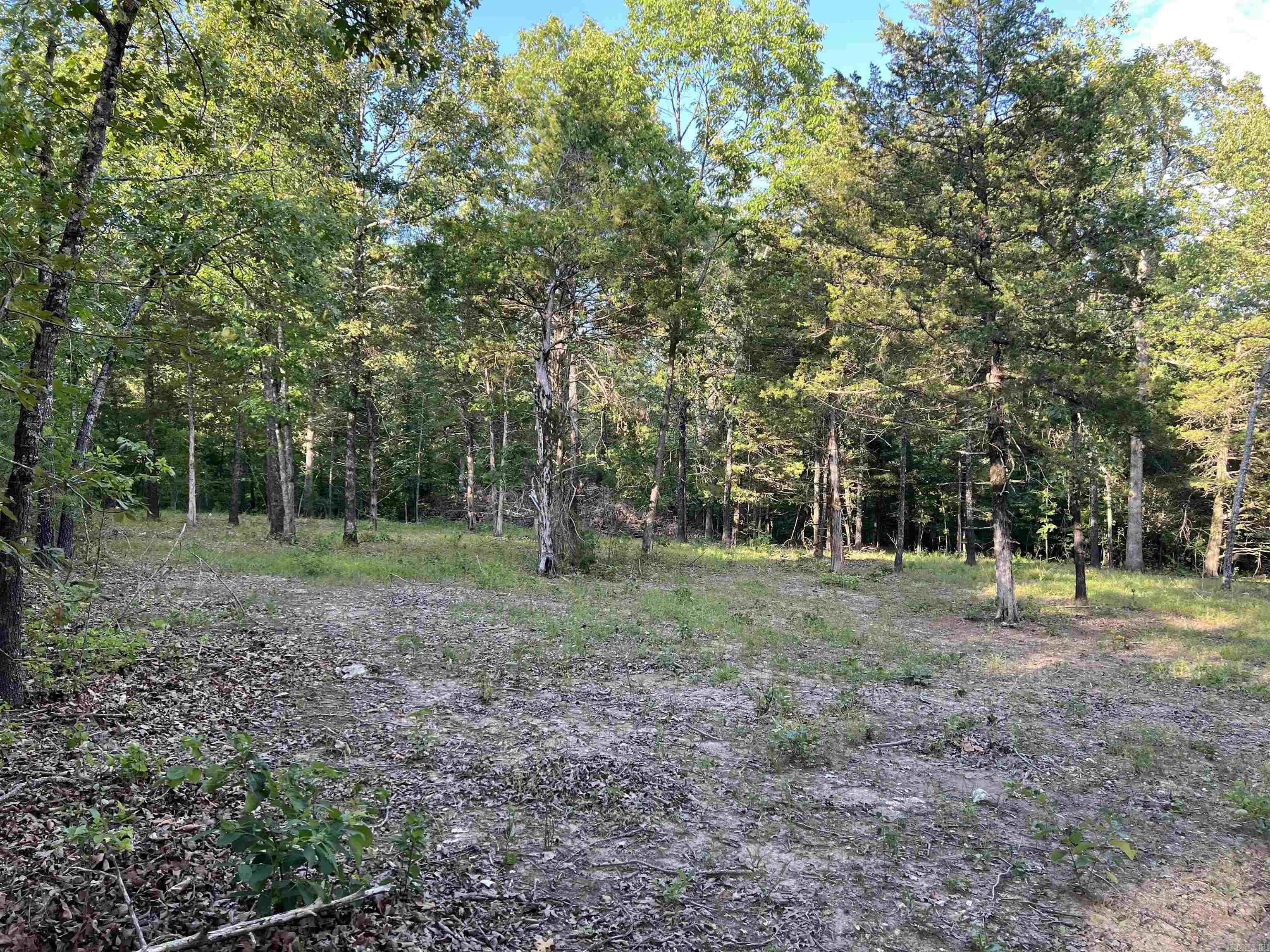 Tract VVV on  Meadow Creek  Harrison, AR