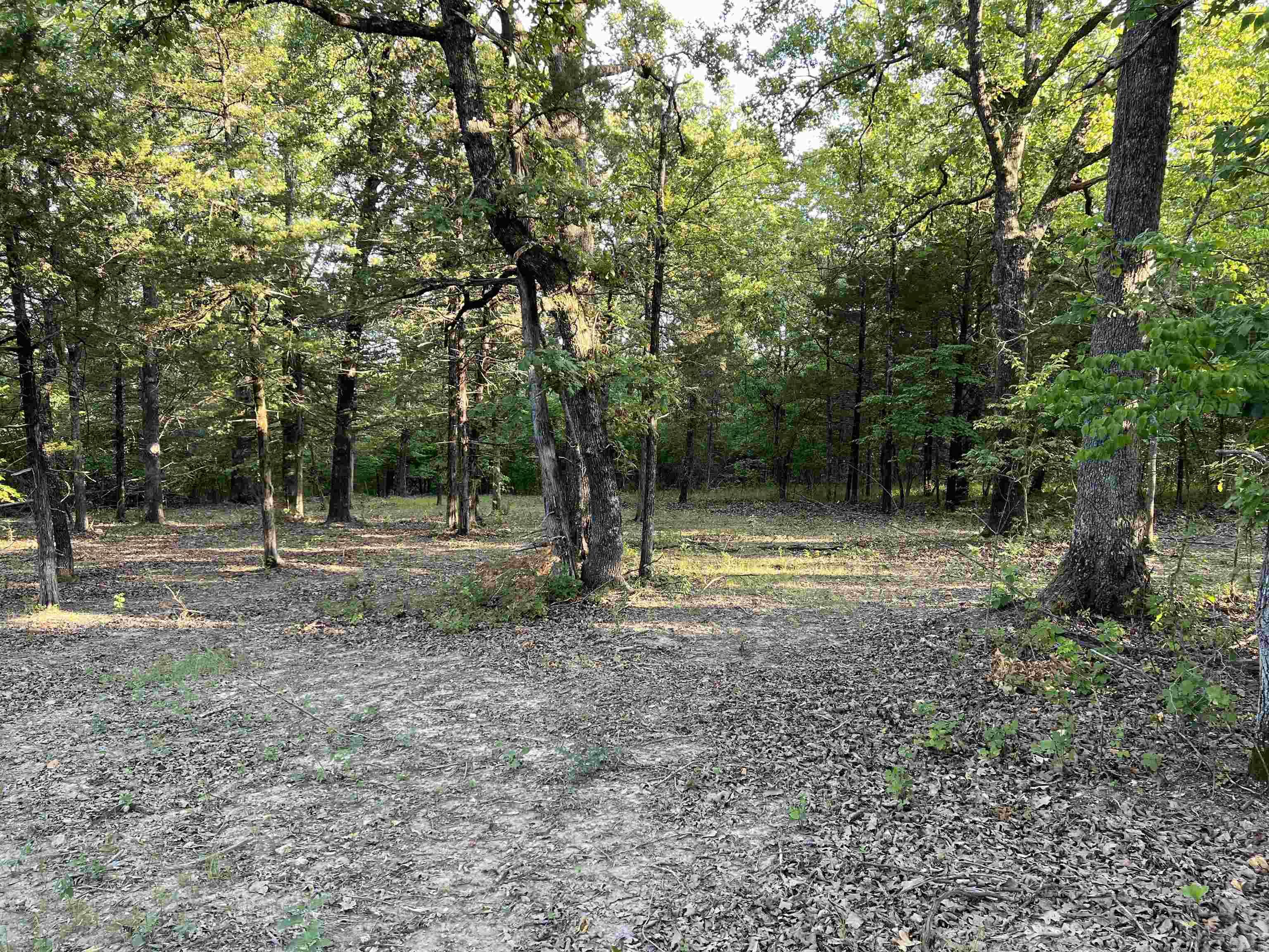 Tract VVV on  Meadow Creek  Harrison, AR
