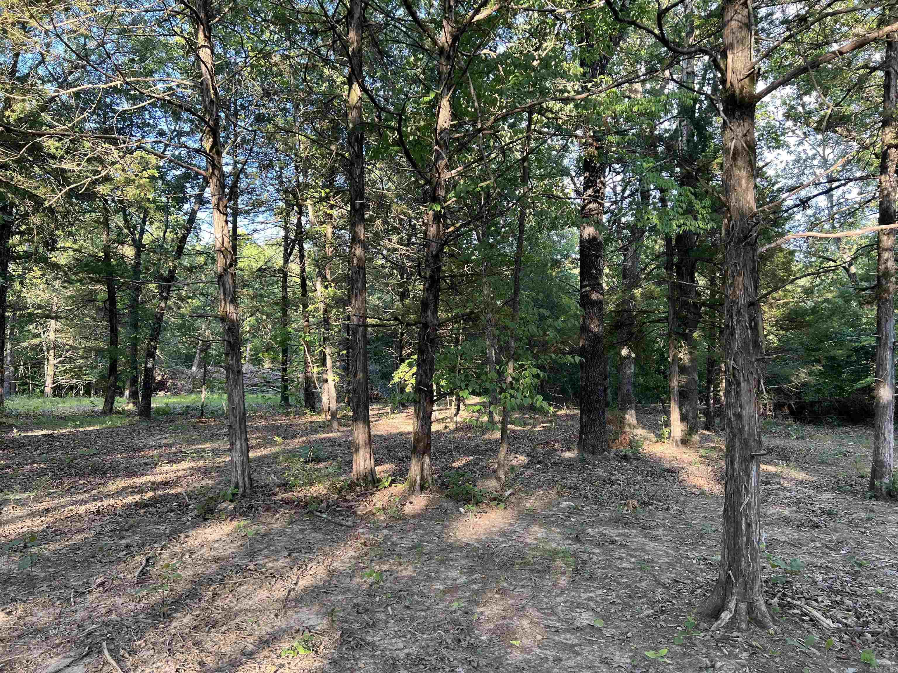 Tract VVV on  Meadow Creek  Harrison, AR