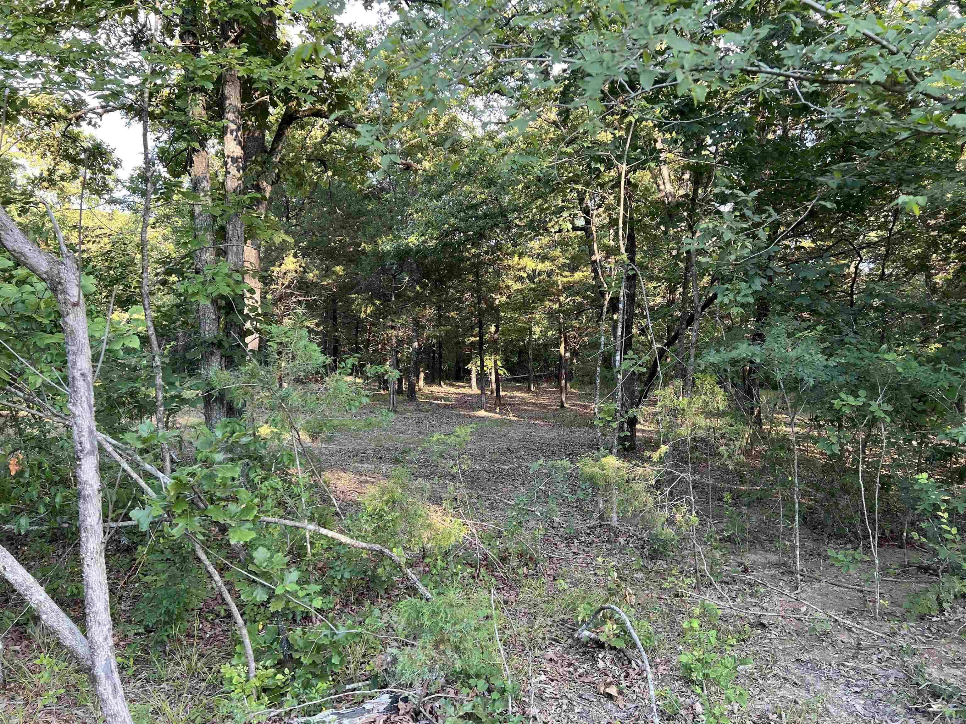 Tract VVV on  Meadow Creek  Harrison, AR