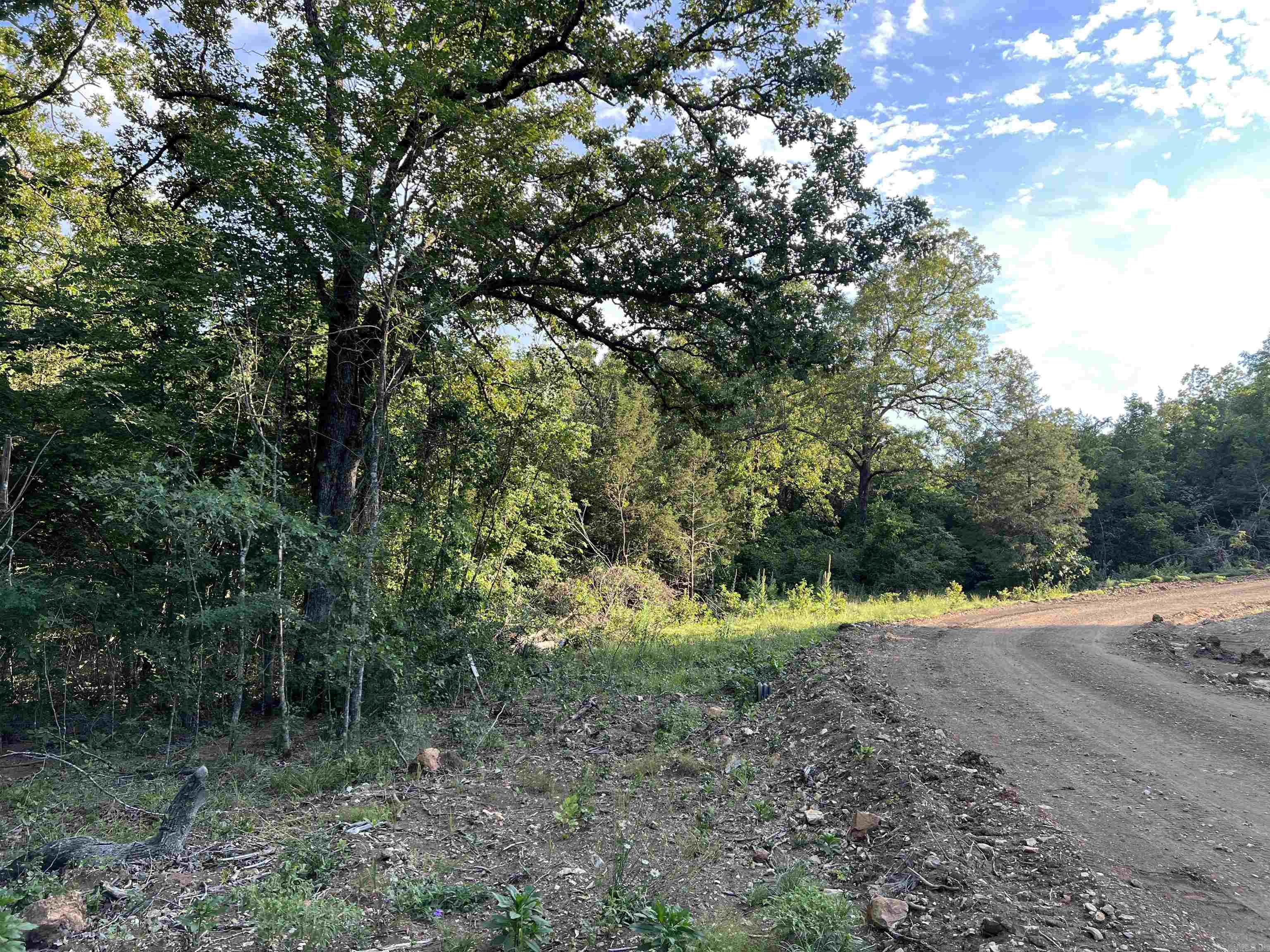 Tract VVV on  Meadow Creek  Harrison, AR