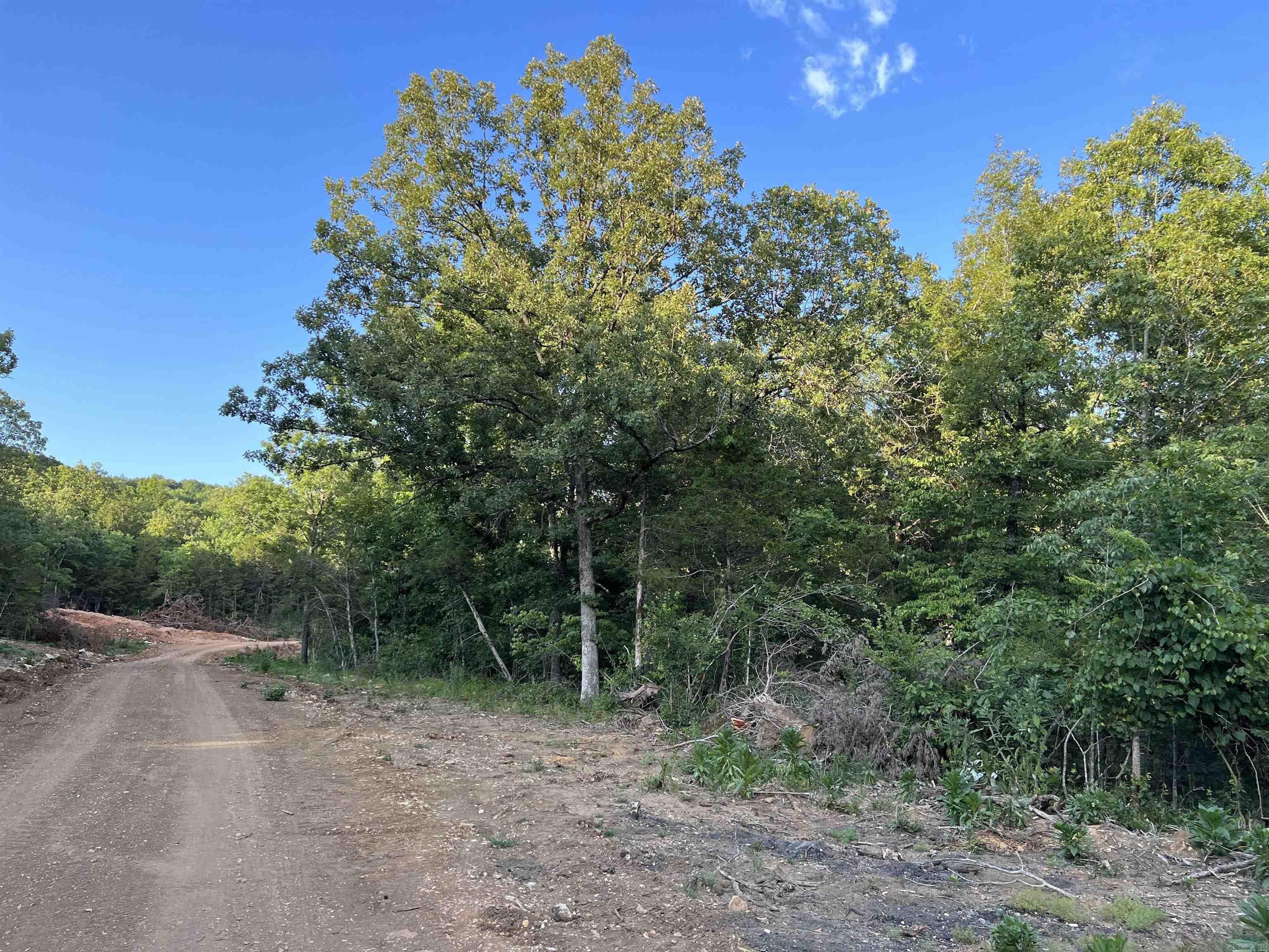 Tract VVV on  Meadow Creek  Harrison, AR