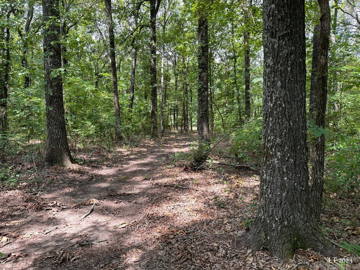 10340 N HWY 31  Austin, AR
