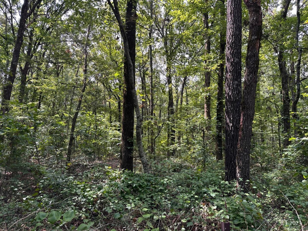 10340 N HWY 31  Austin, AR