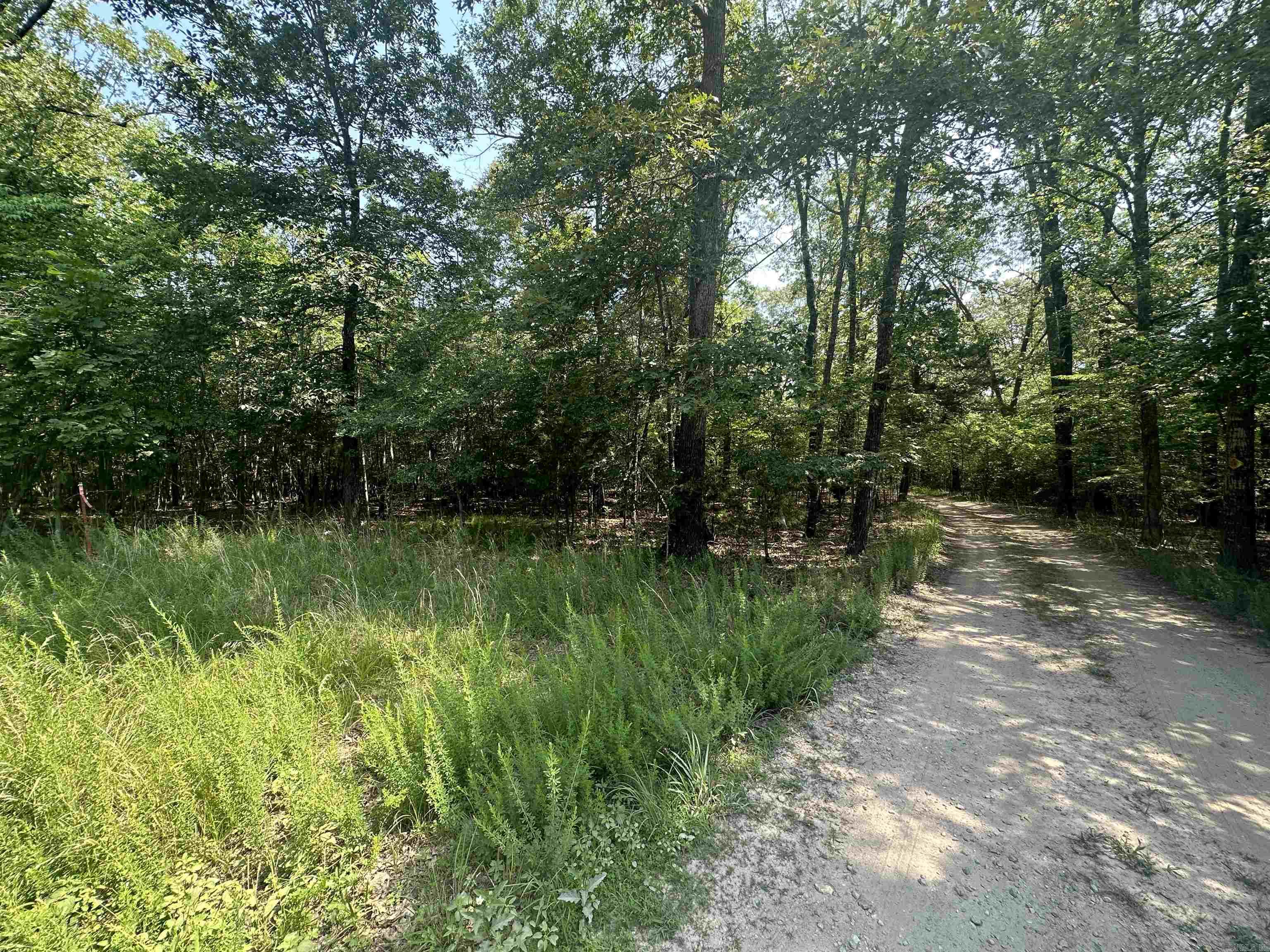 462 E Persimmon Point Road, Lead Hill, AR 72644