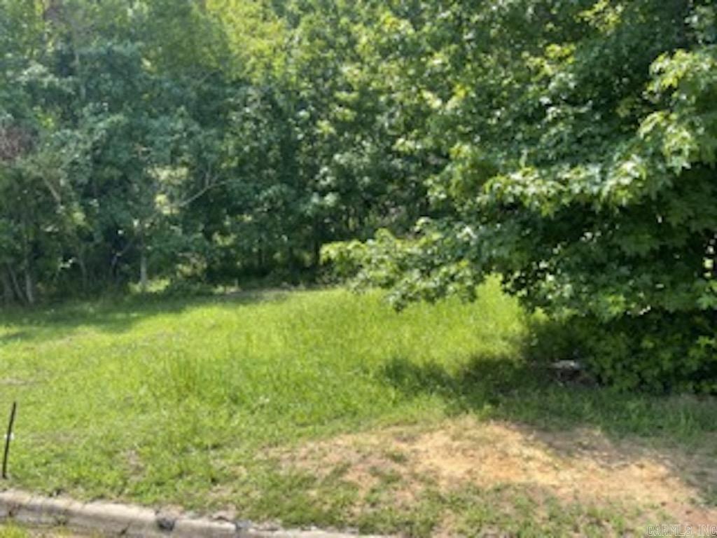 107  Navajo Trail  Maumelle, AR