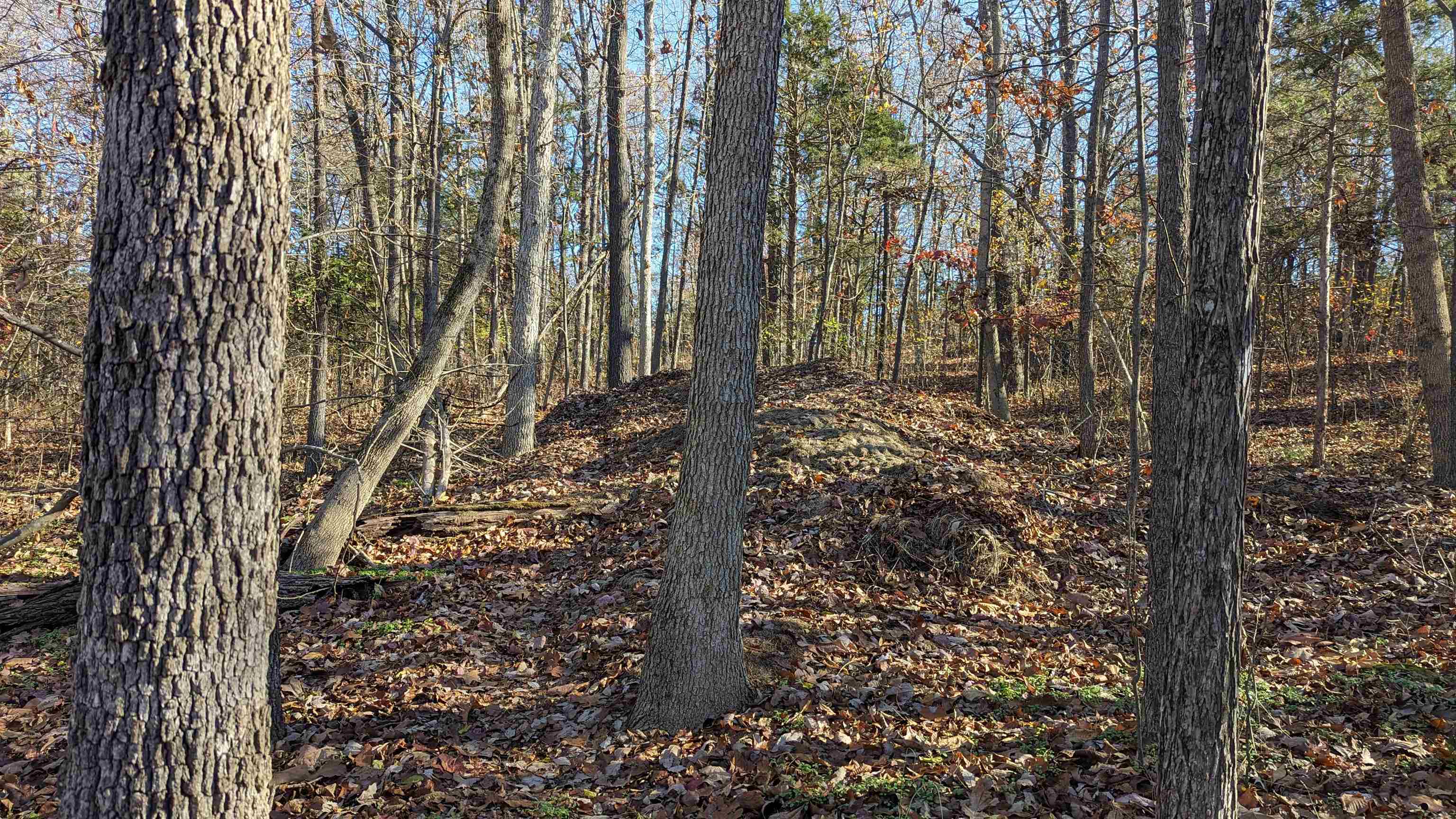 100  Algonquin  Cherokee Village, AR