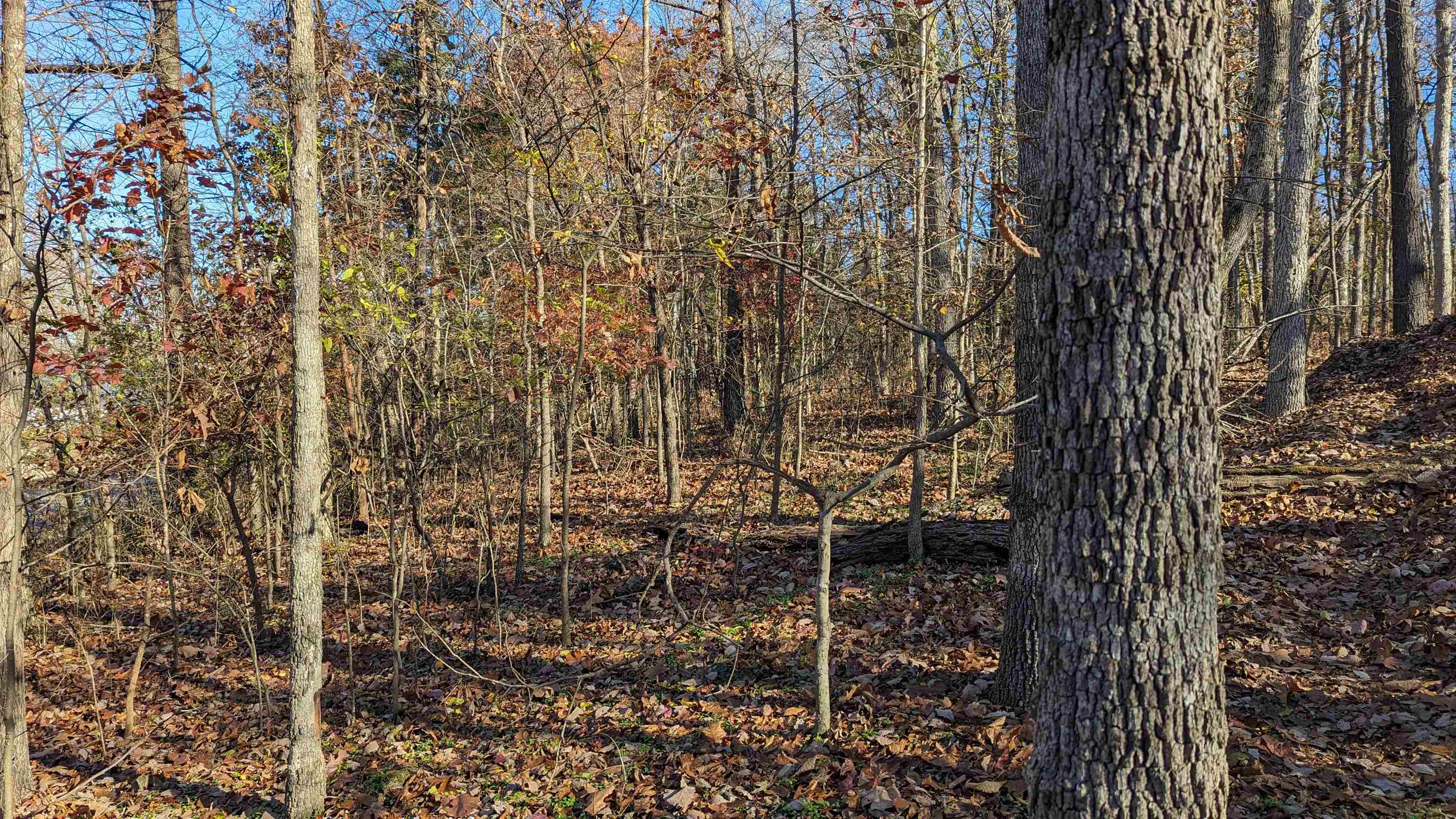 100  Algonquin  Cherokee Village, AR