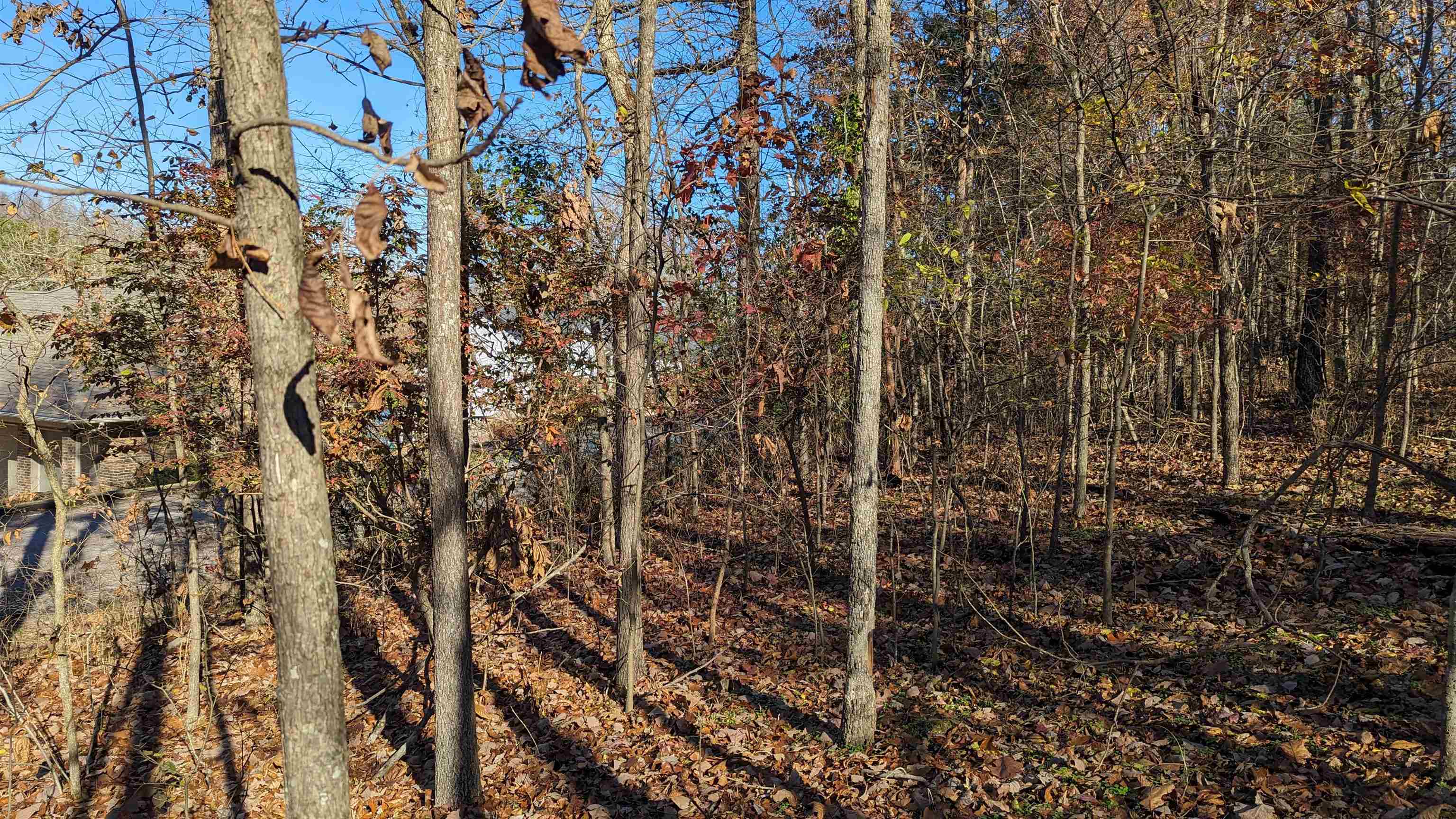 100  Algonquin  Cherokee Village, AR