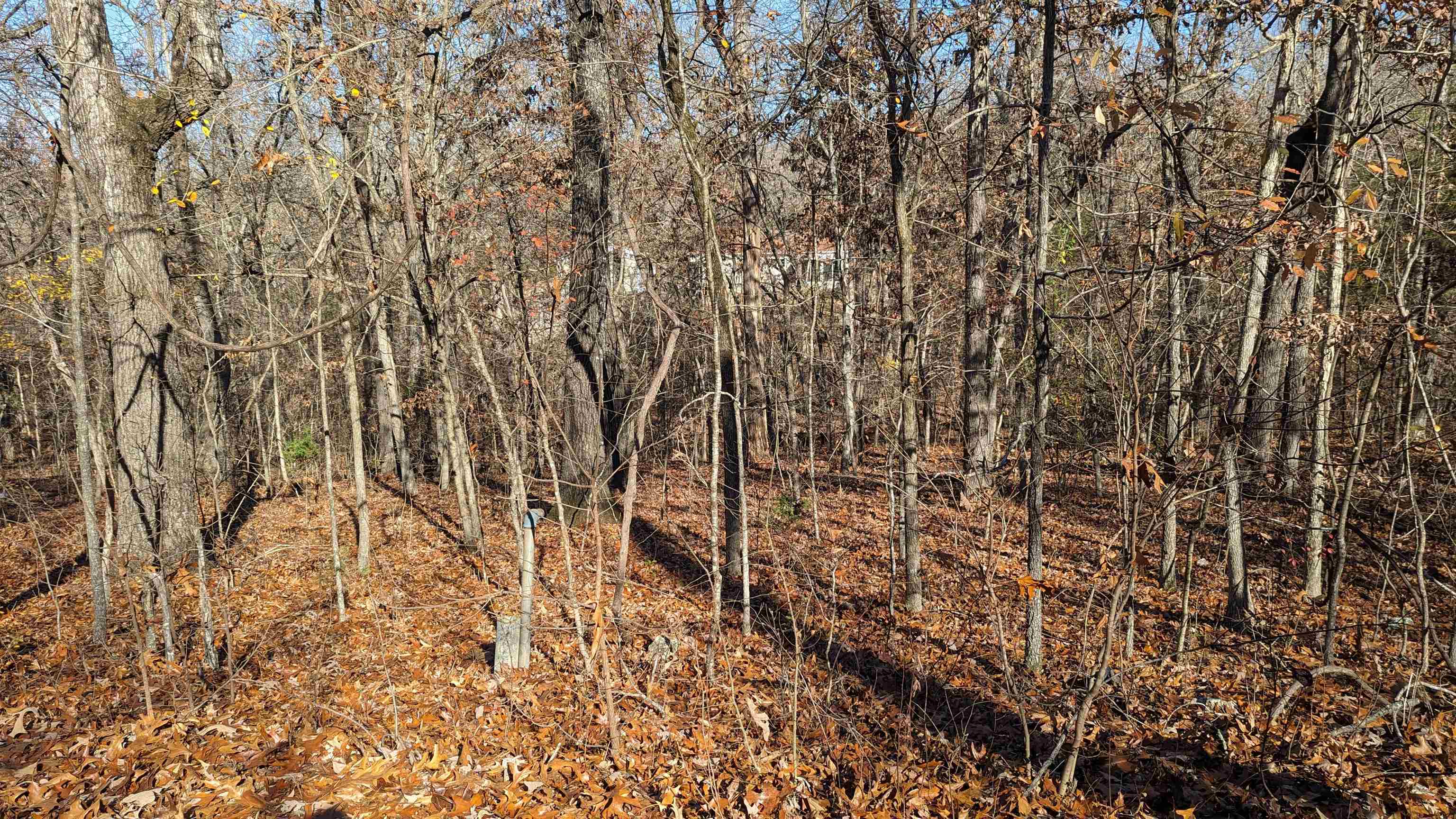 100  Algonquin  Cherokee Village, AR