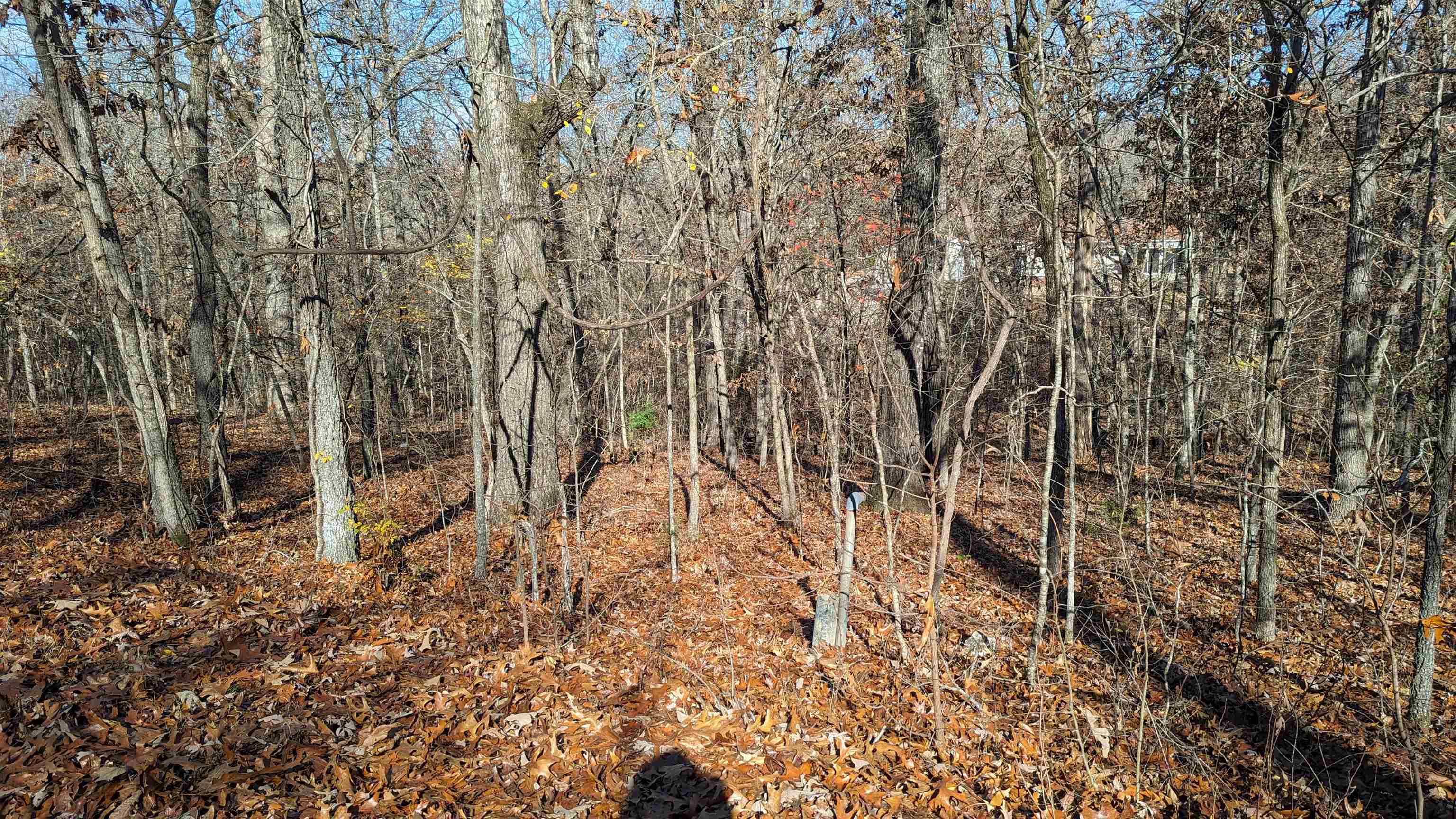 100  Algonquin  Cherokee Village, AR