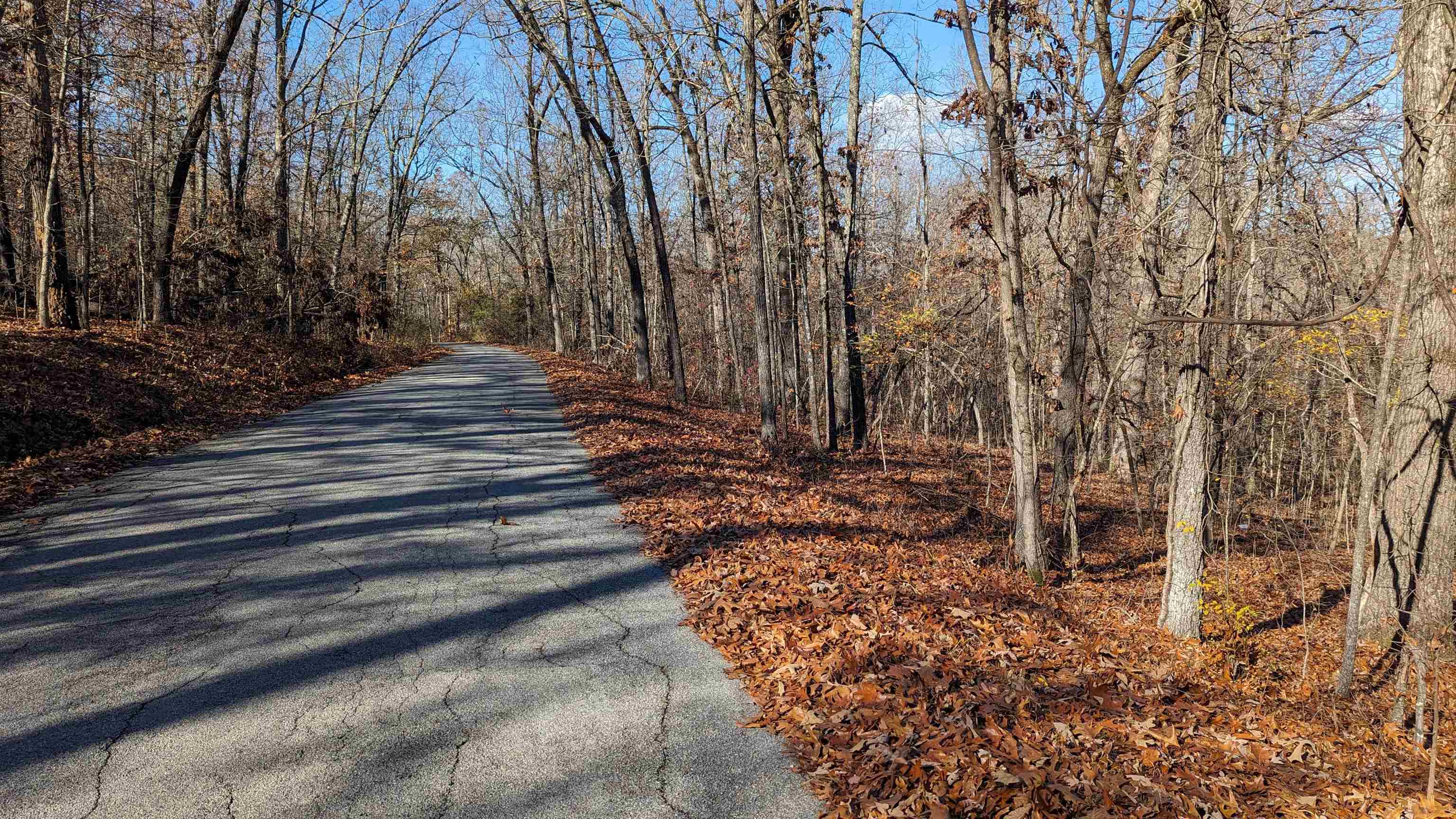 100  Algonquin  Cherokee Village, AR