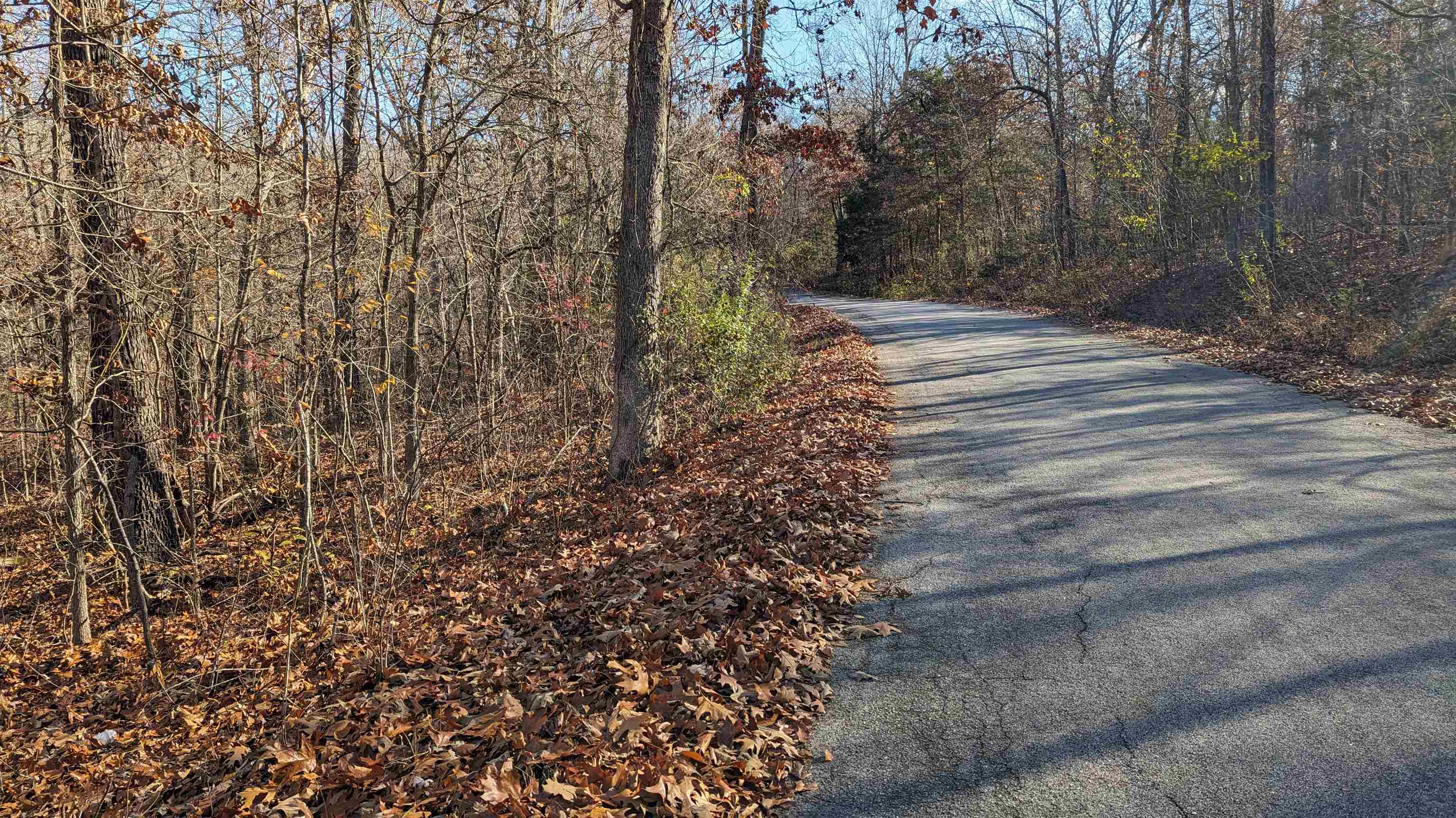 100  Algonquin  Cherokee Village, AR