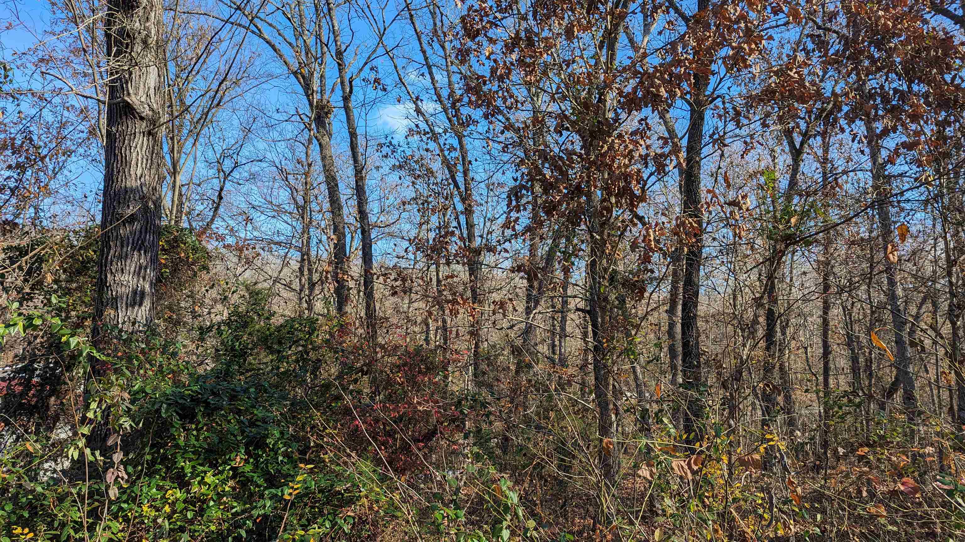3  Samoset  Cherokee Village, AR