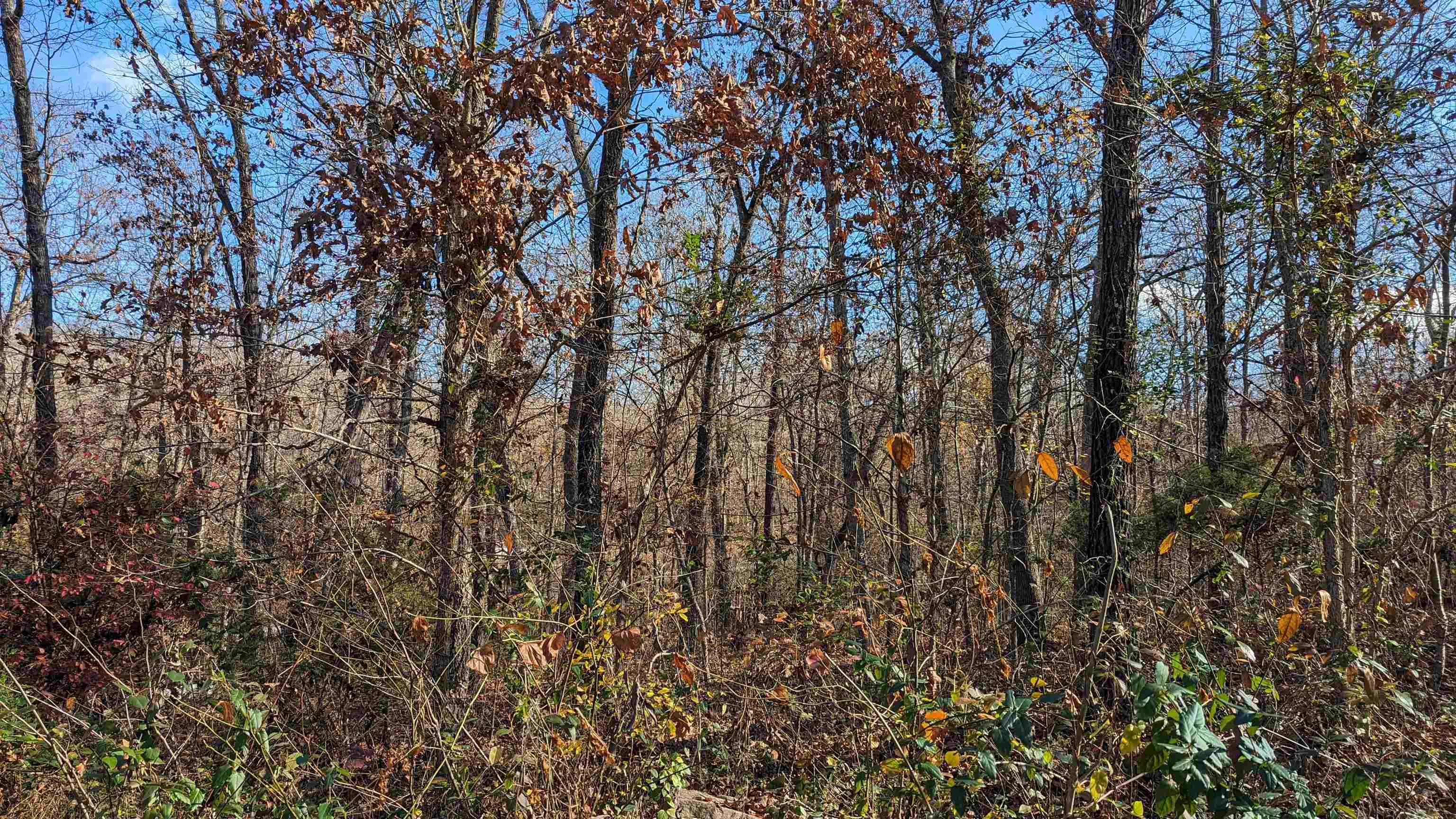 3  Samoset  Cherokee Village, AR
