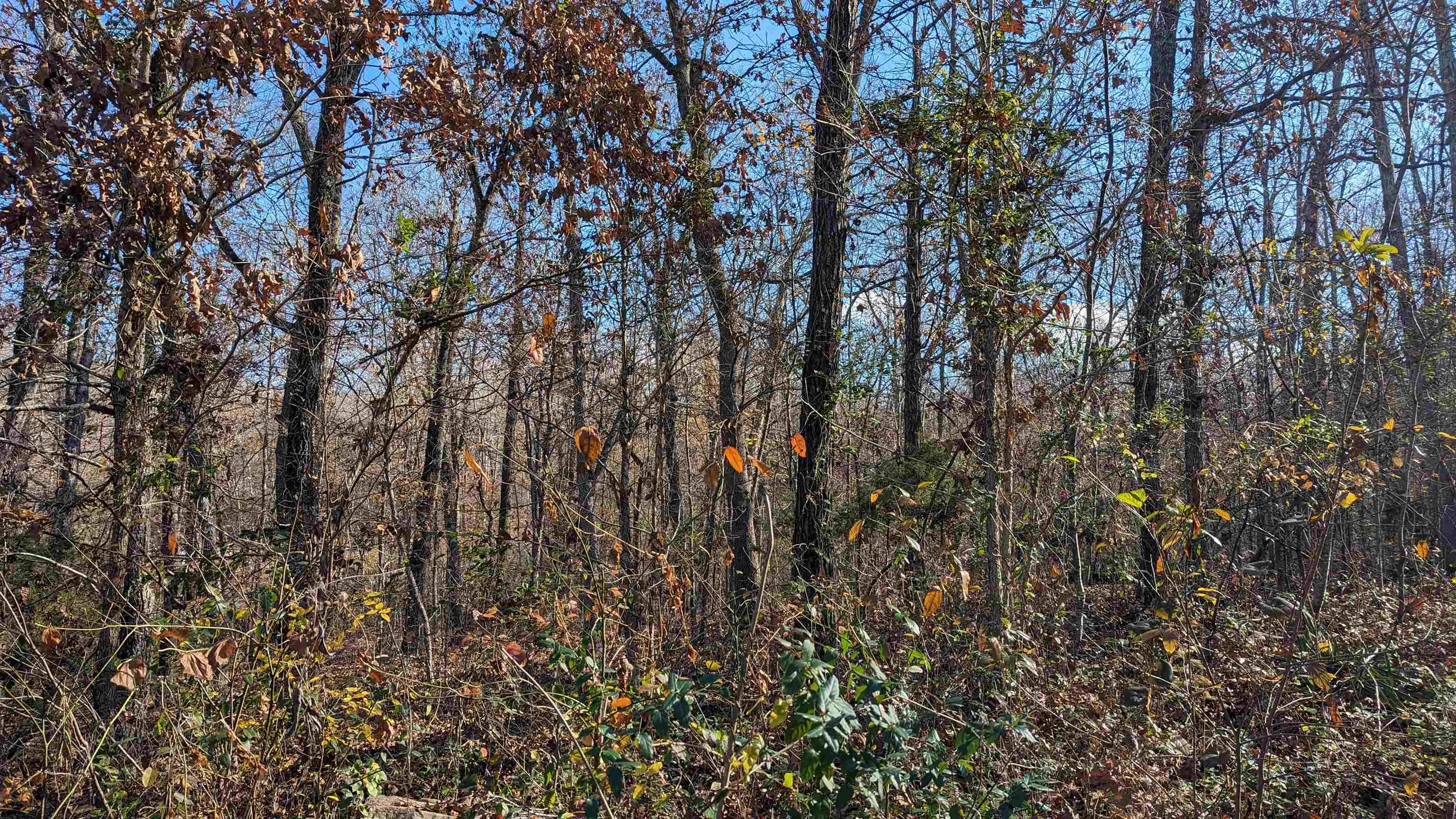 3  Samoset  Cherokee Village, AR