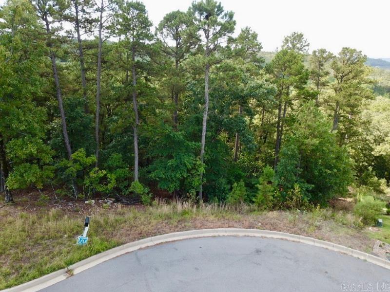 185  Ridgeview  Maumelle, AR